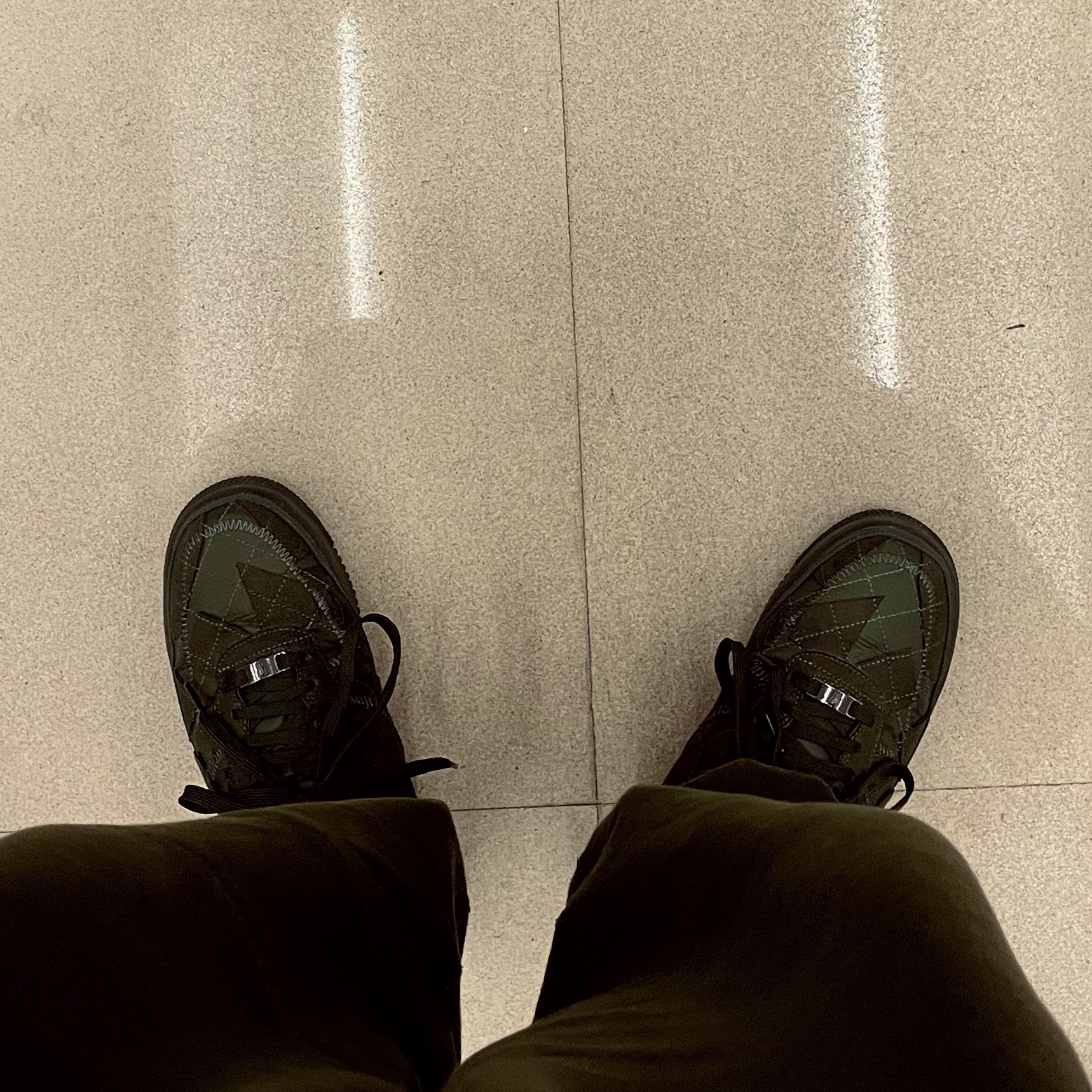 Nike x Billie Eilish Air Force 1 Low '07 SP Sequoia, Nike x Billie Eilish NRG Fleece Pants Sequoia - Asia 착용 스타일