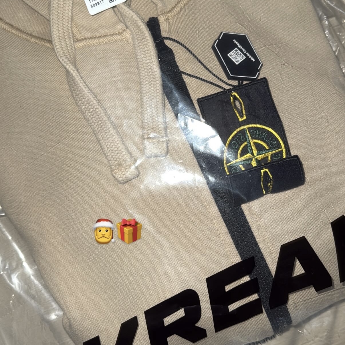 Stone Island 6100042 Organic Cotton Fleece Hooded Sweatshirt with Drawstring Hood and Zipper Desert - 25SS 착용 스타일