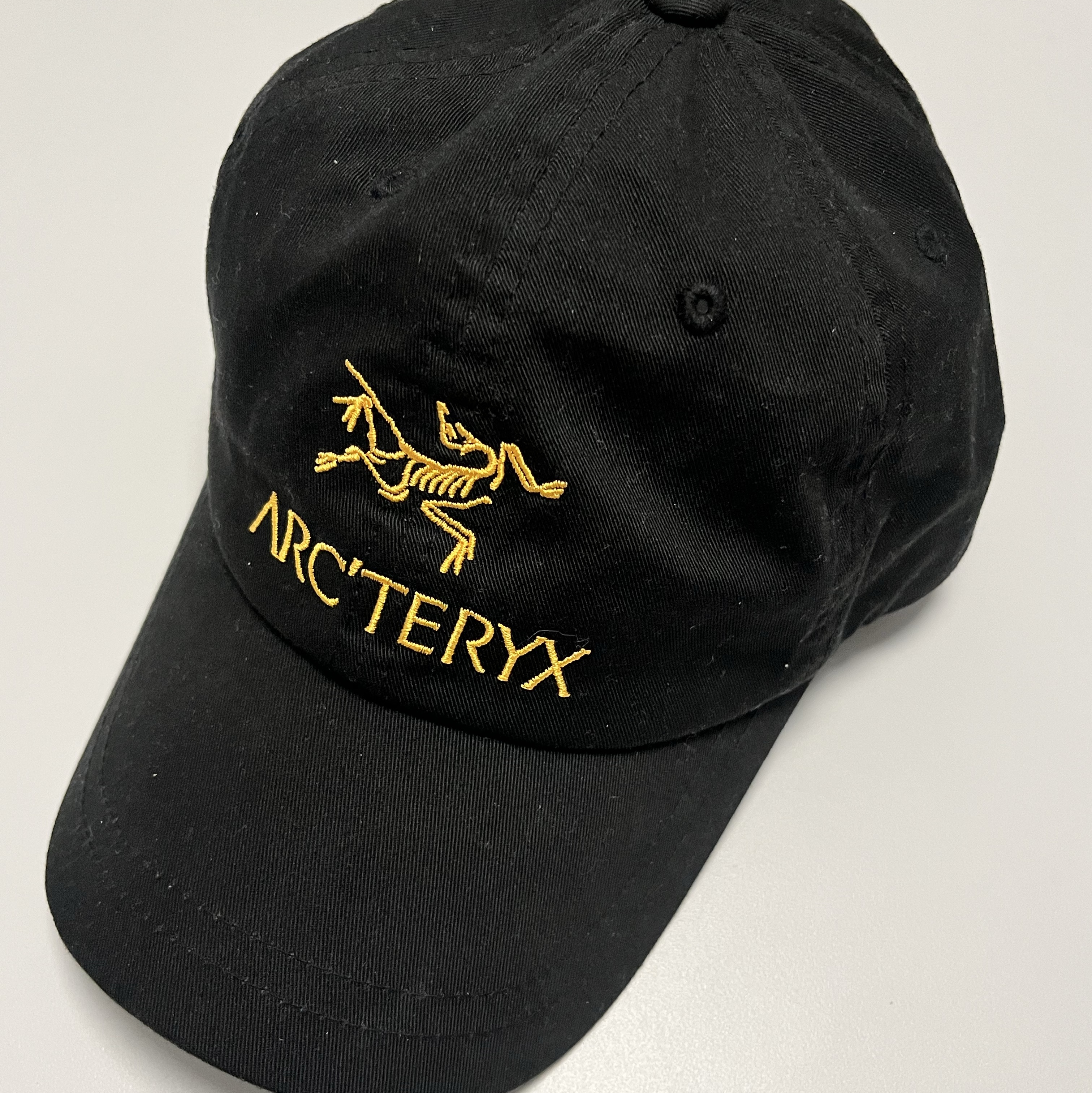 Palace x Arc'teryx 6-Panel Black - 20FW 착용 스타일