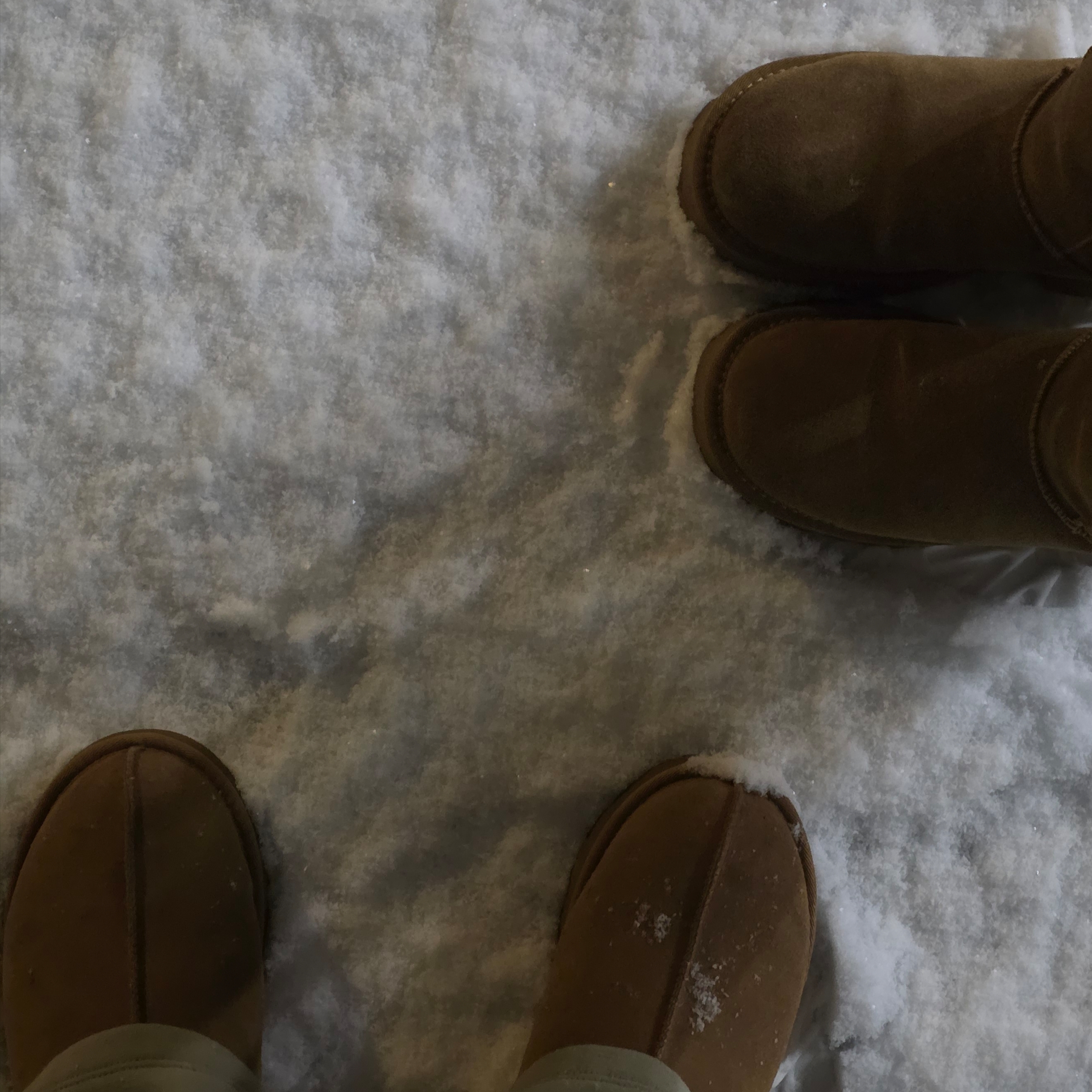 UGG Tasman II Slipper Chestnut, UGG Tasman Slipper Chestnut 착용 스타일 - 2