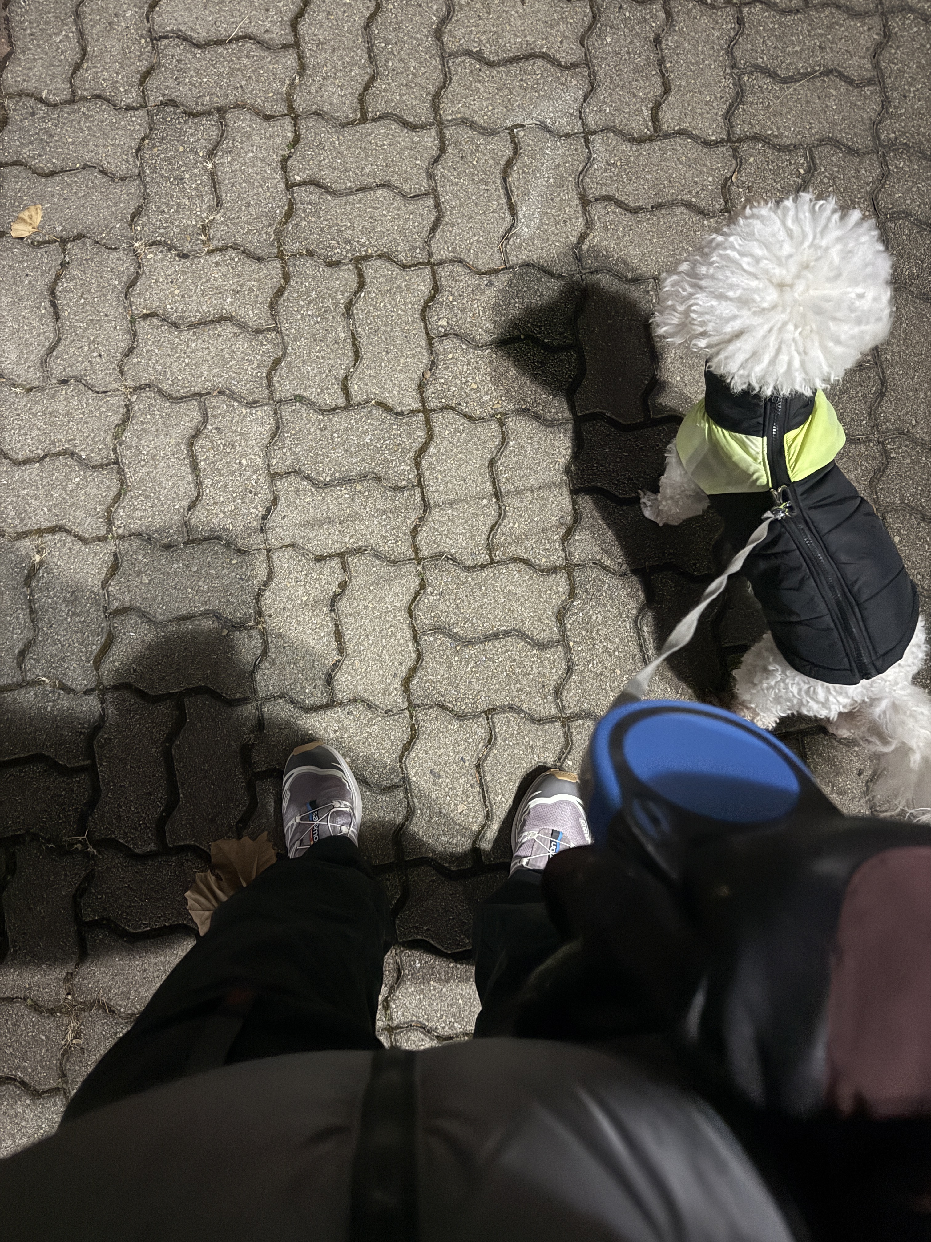 Feathered Friends Helios Hooded Down Jacket Ash 착용 스타일