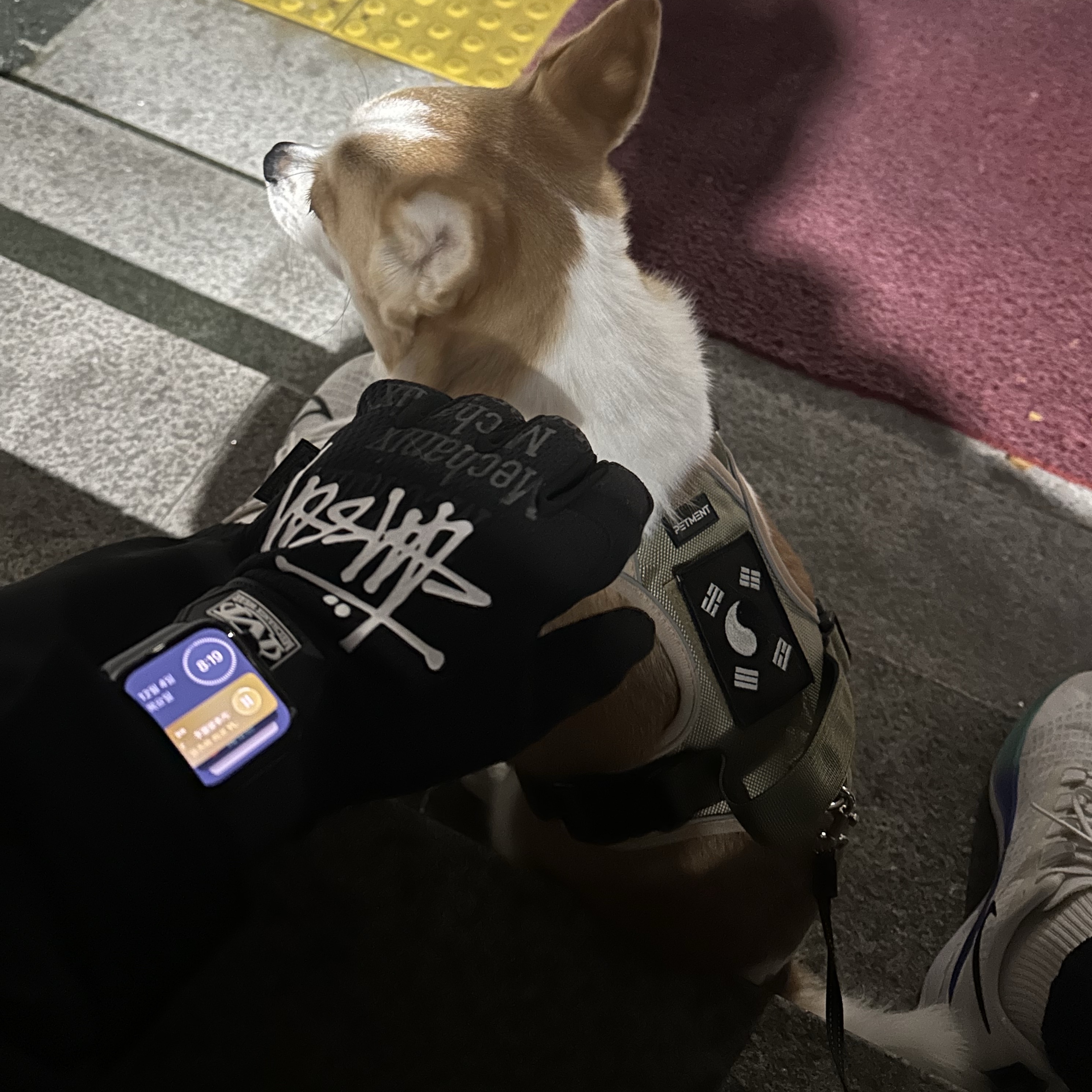 Stussy Mechanix Gloves Black, Nike Air Zoom Pegasus 37 White Hyper Violet 착용 스타일 - 1