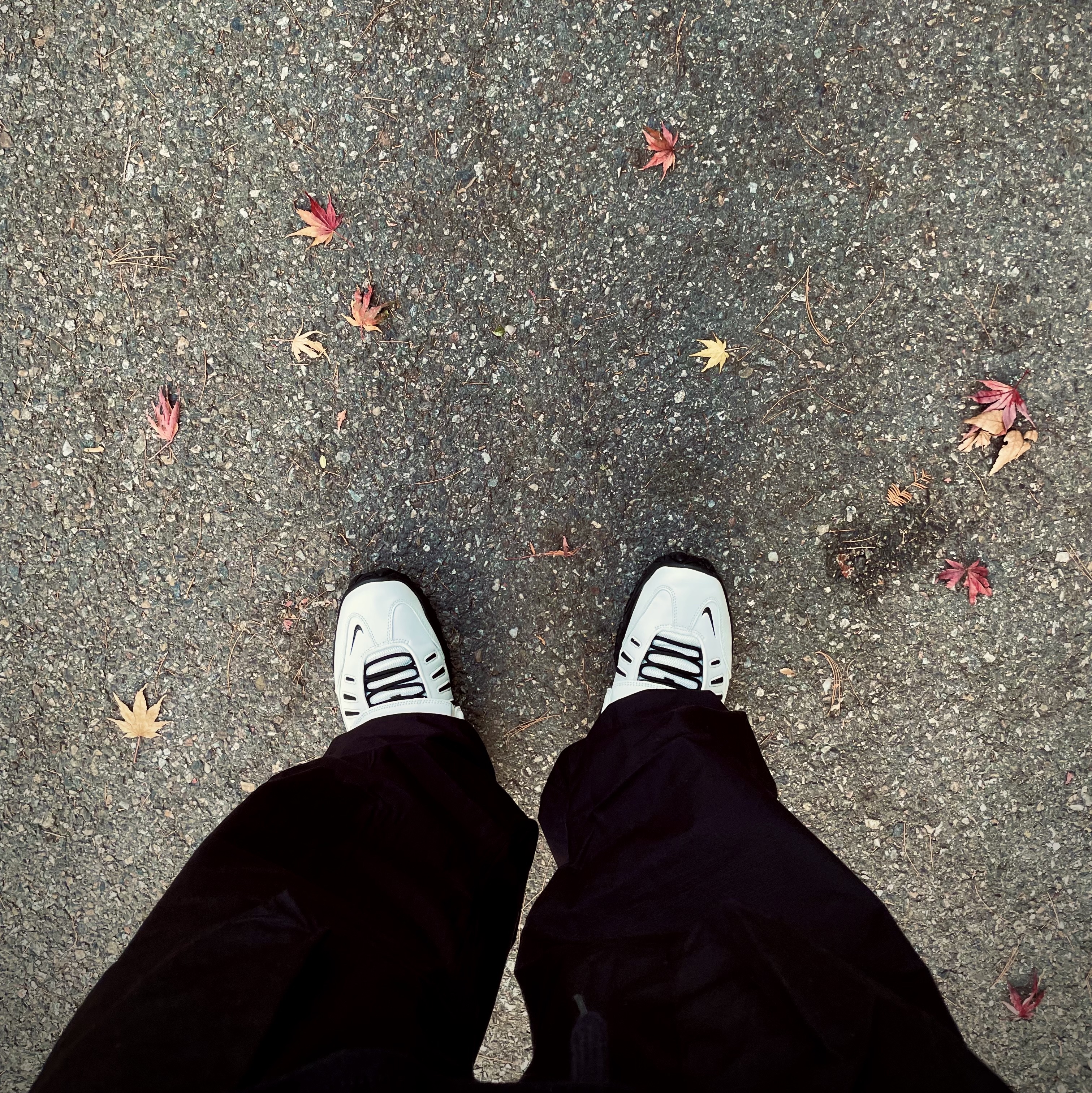Nike x Ambush Air Adjust Force SP Summit White and Black 착용 스타일