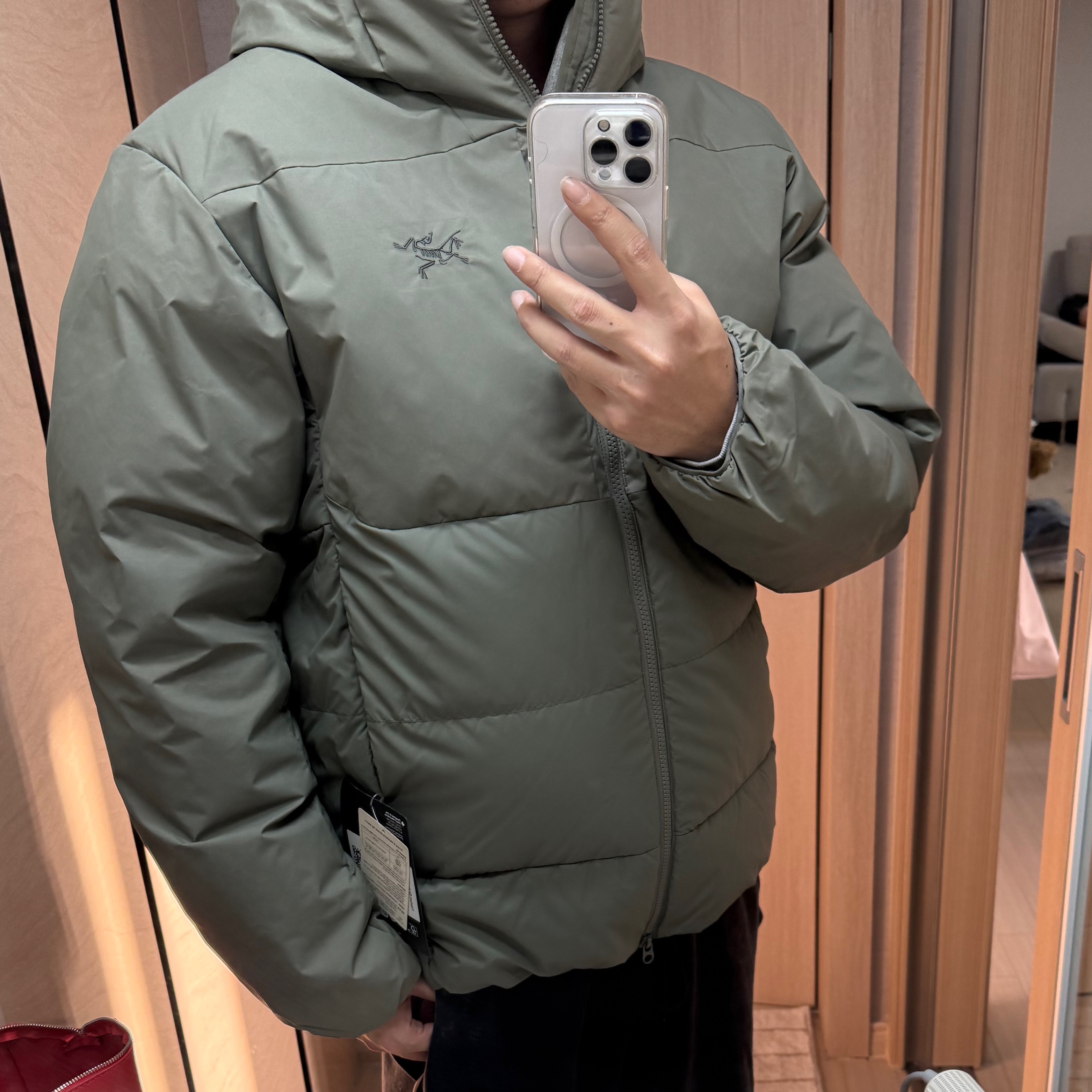 Arc'teryx Thorium SV Hoody Forage 착용 스타일