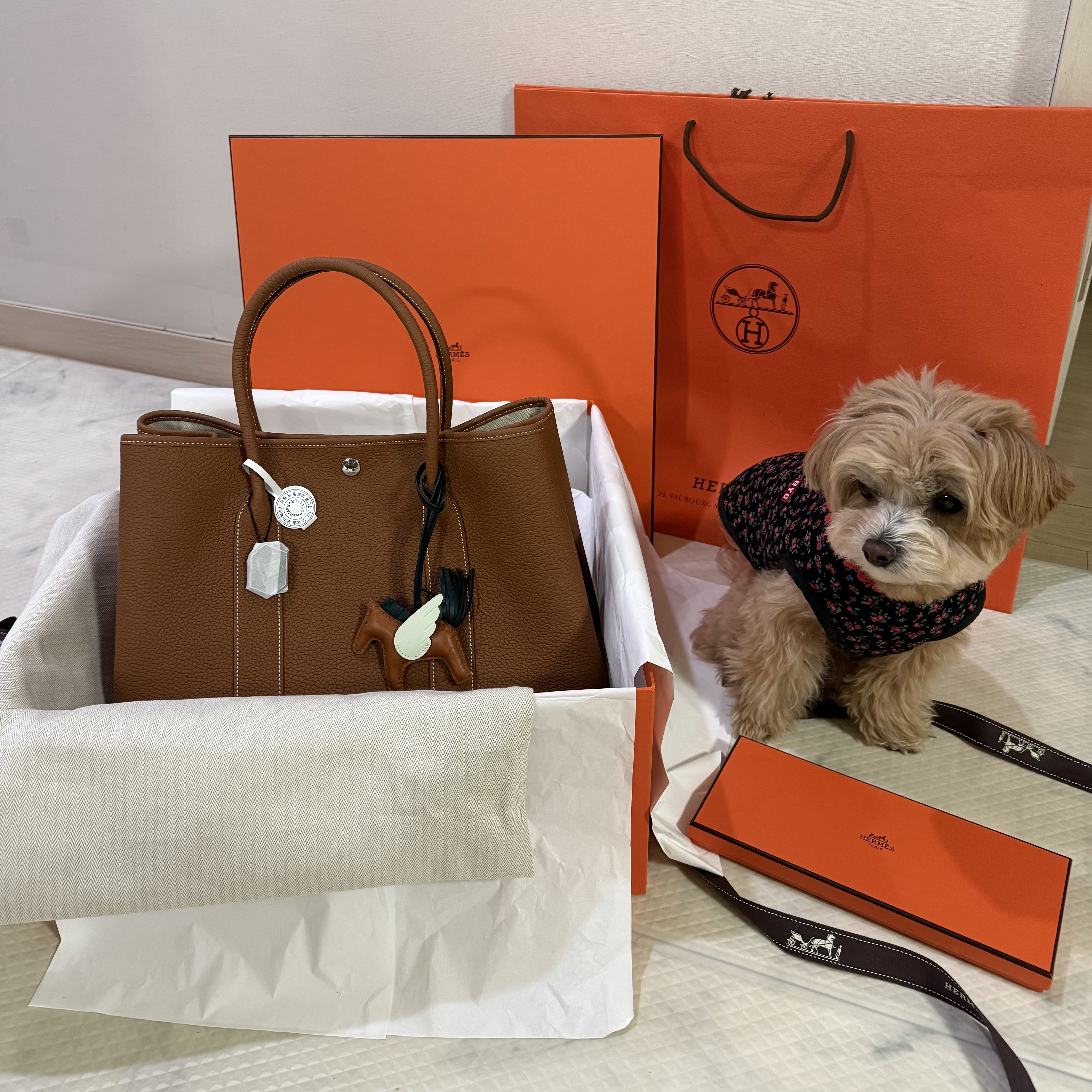 Hermes Rodeo Pegase PM Charm Milo Swift & Gold Vert Cypres Vert Fizz, Hermes Garden Party 36 Bag Negonda & Palladium Gold 착용 스타일 - 1