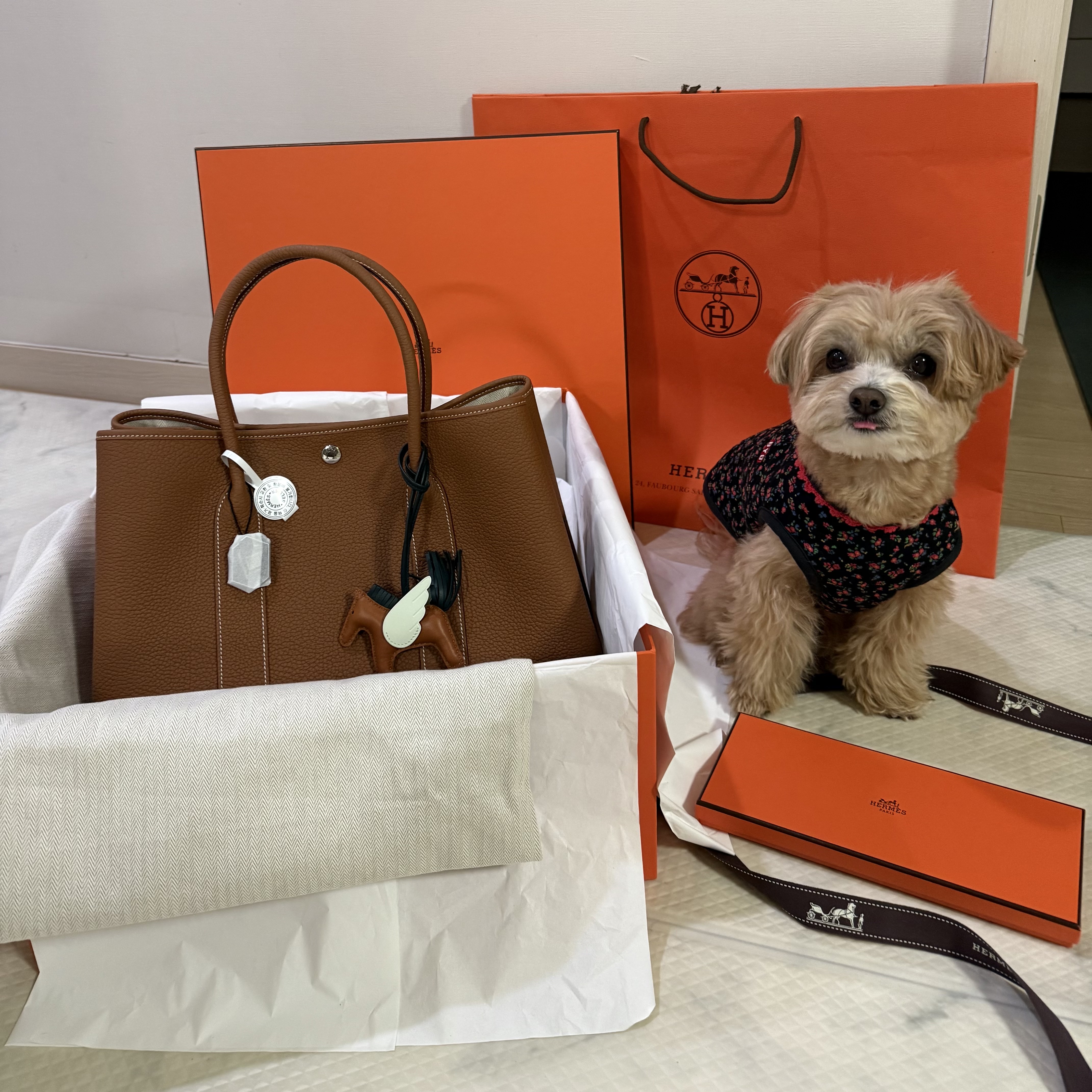 Hermes Garden Party 36 Bag Negonda & Palladium Gold, Hermes Rodeo Pegase PM Charm Milo Swift & Gold Vert Cypres Vert Fizz 착용 스타일 - 1