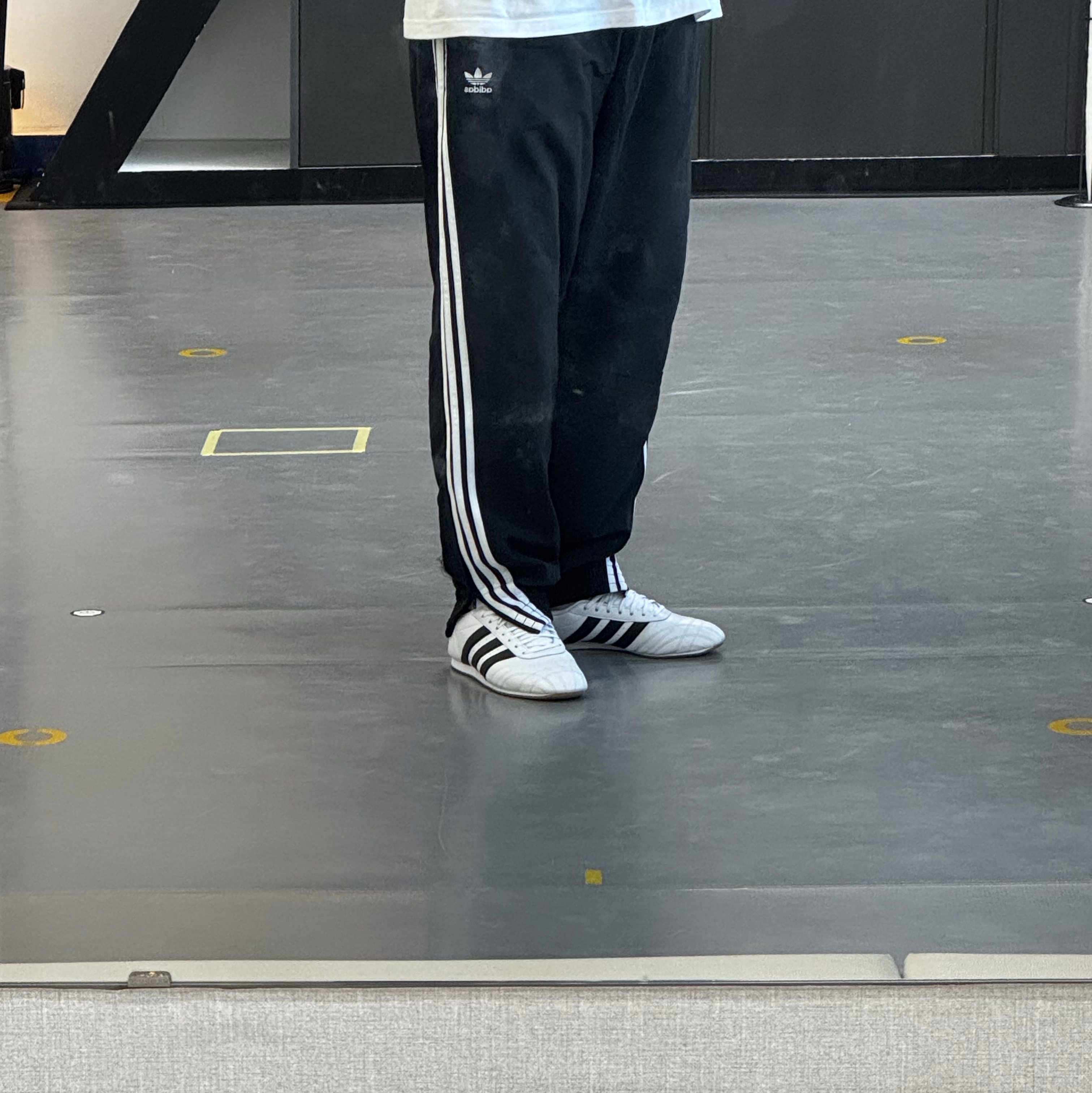 Adidas Adicolor Woven Firebird Track Pants Black - KR Sizing, (W) Adidas Taekwondo Lace Cloud White Core Black 착용 스타일