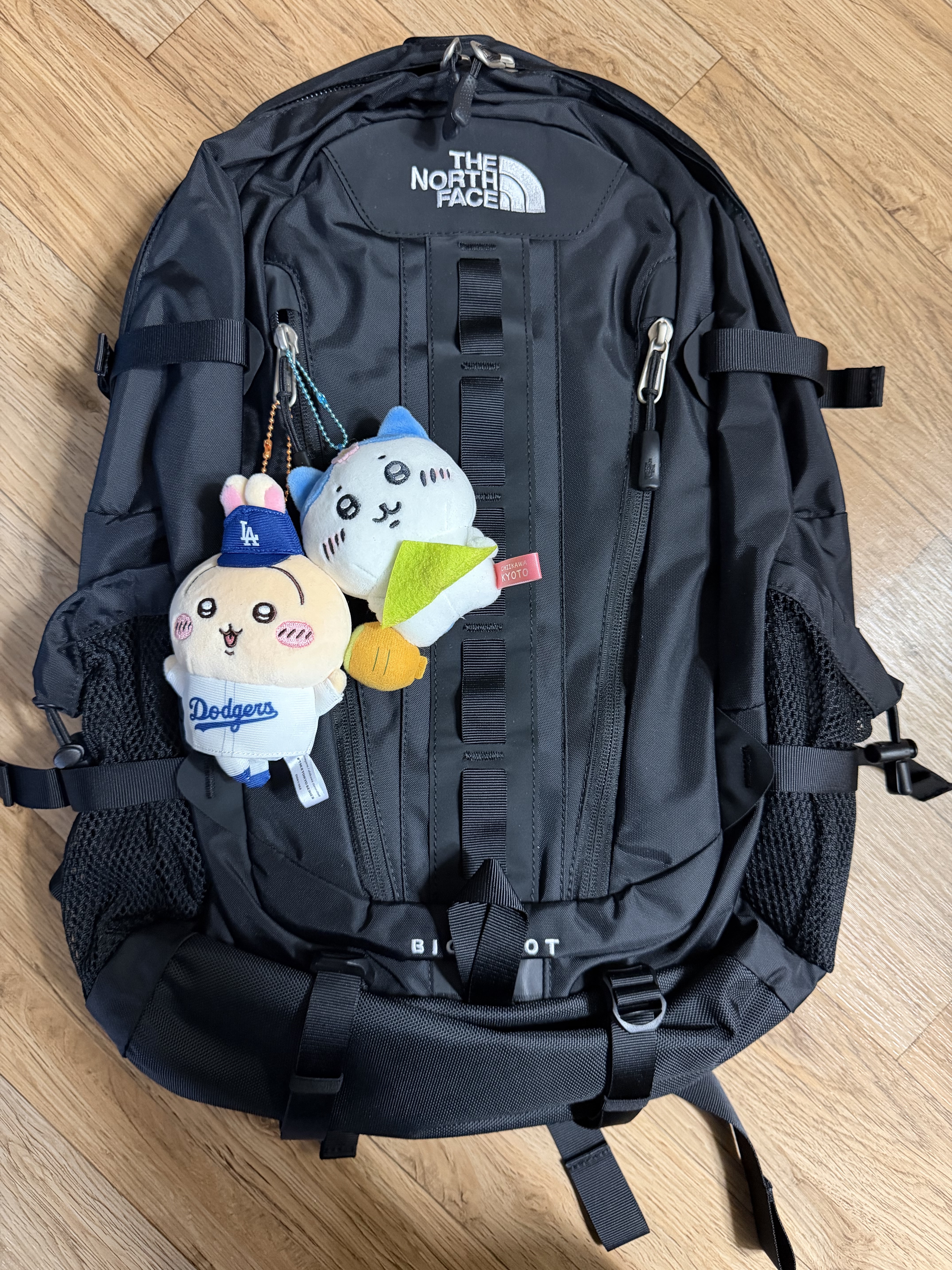 The North Face Big Shot Black 착용 스타일