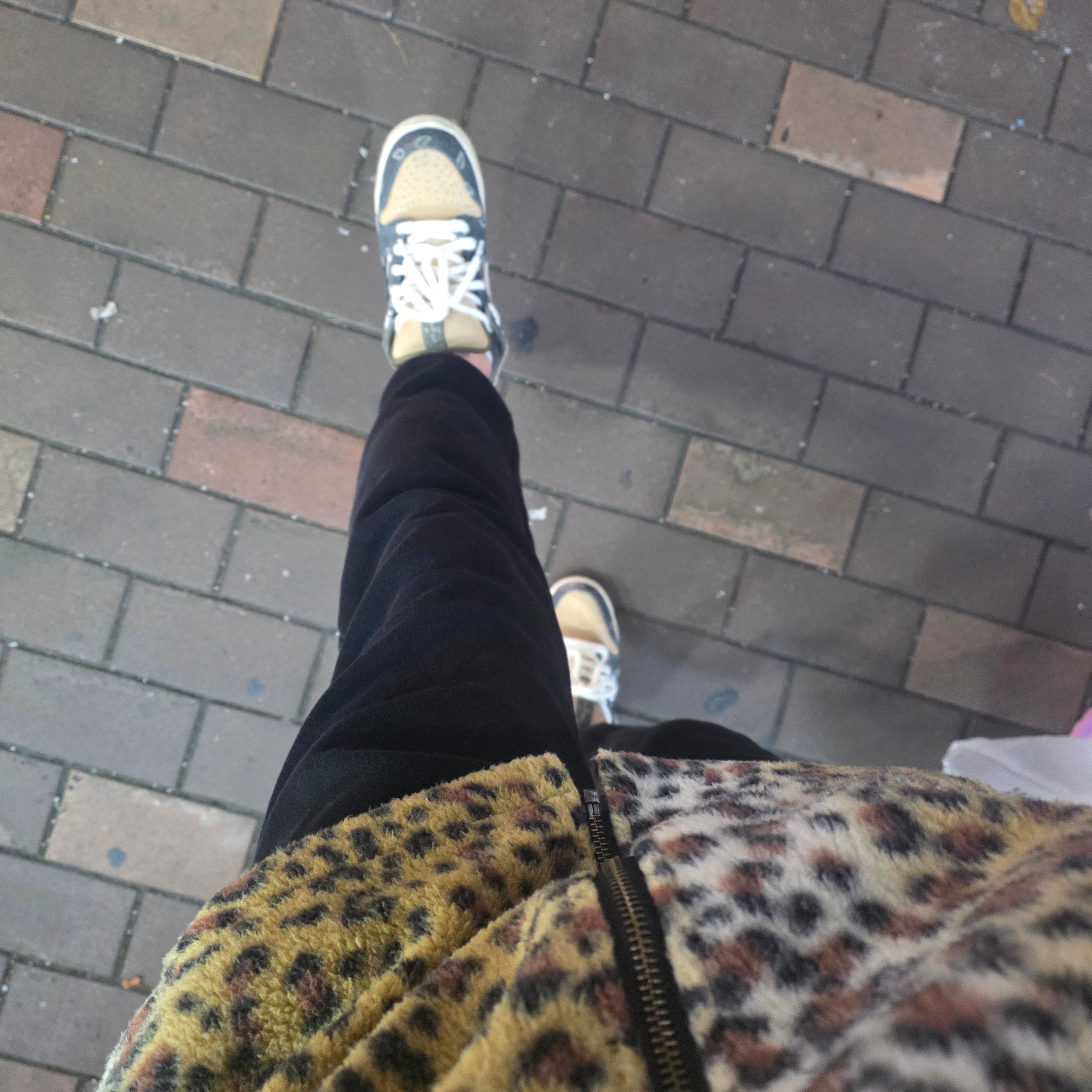 Supreme Fleece Zip Up Hooded Shirt Brown Leopard - 23FW, Nike x Travis Scott SB Dunk Low 착용 스타일 - 1