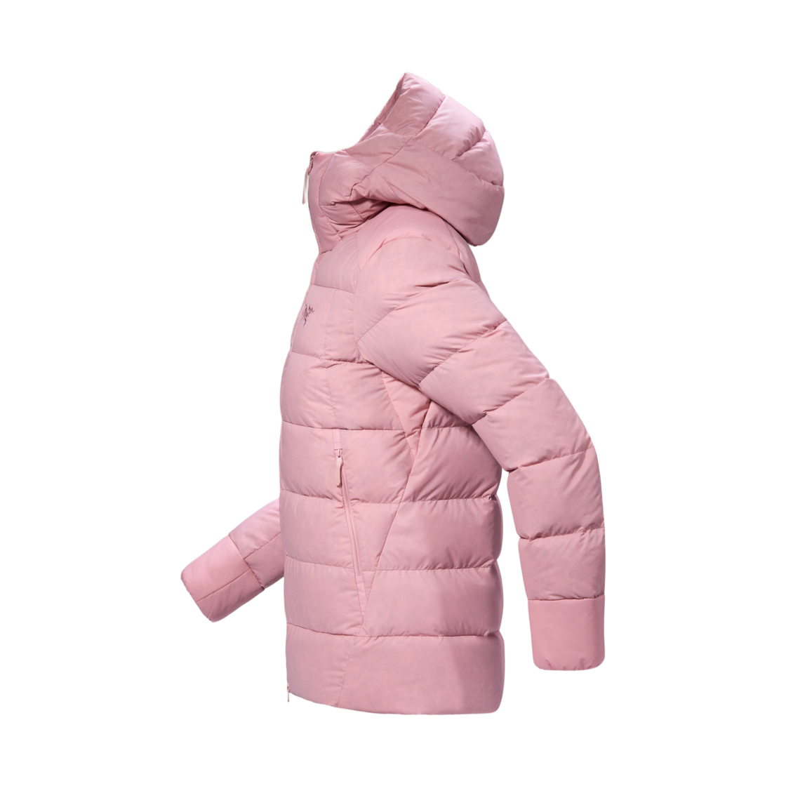 (W) 아크테릭스 토륨 후디 블리스((W) Arc'teryx Thorium Hoody Bliss) - 2
