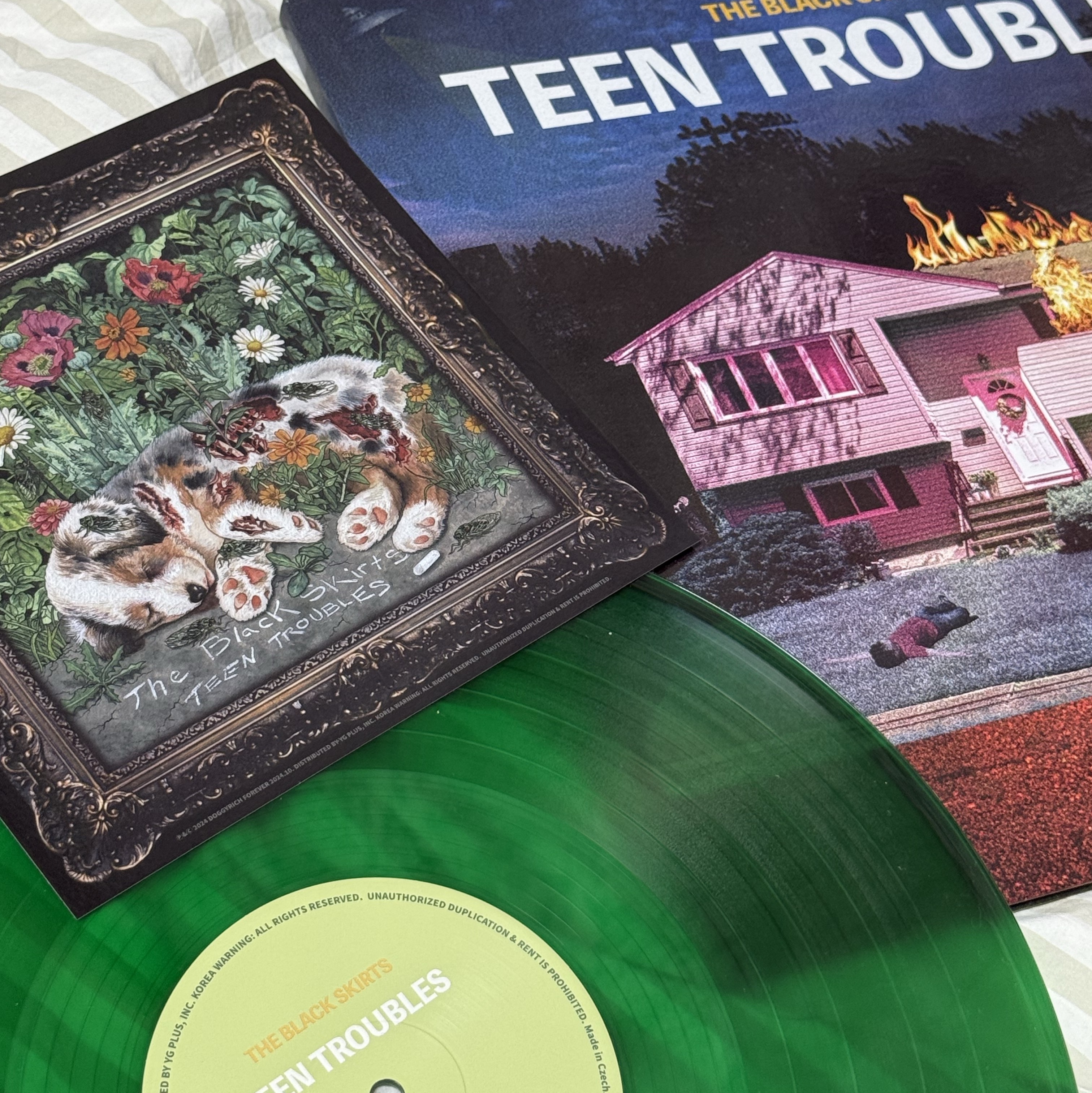 The Black Skirts 3rd Album Part 3 Teen Troubles Emerald Green Transparent (2Lp) 착용 스타일
