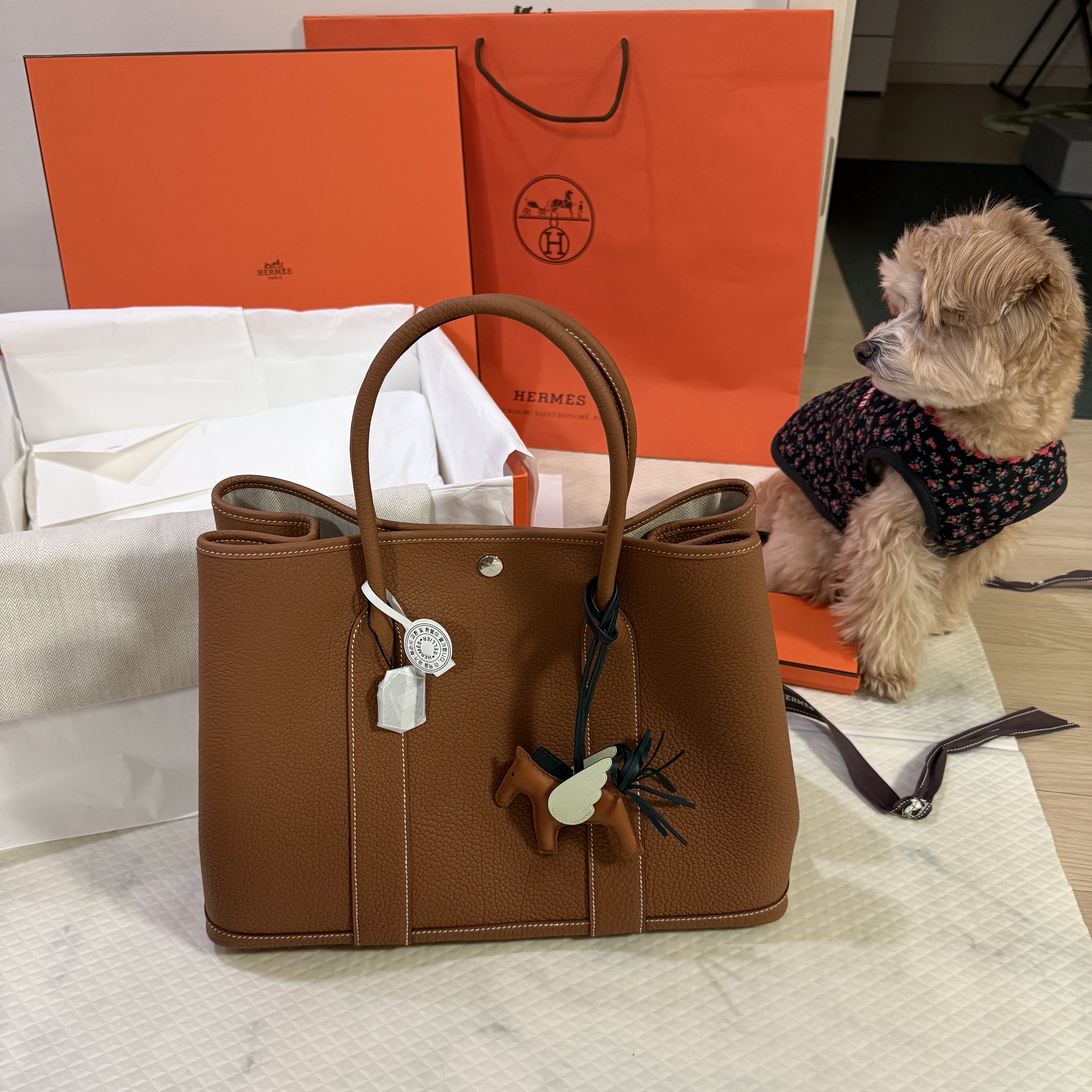 Hermes Garden Party 36 Bag Negonda & Palladium Gold, Hermes Rodeo Pegase PM Charm Milo Swift & Gold Vert Cypres Vert Fizz 착용 스타일 - 2
