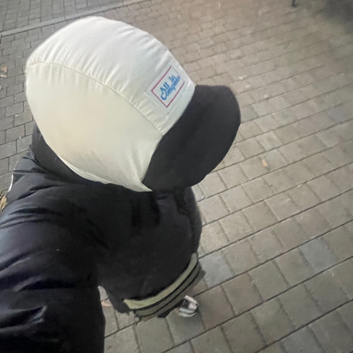 Allincomplete Panda Padding Balaclava 착용 스타일 - 1