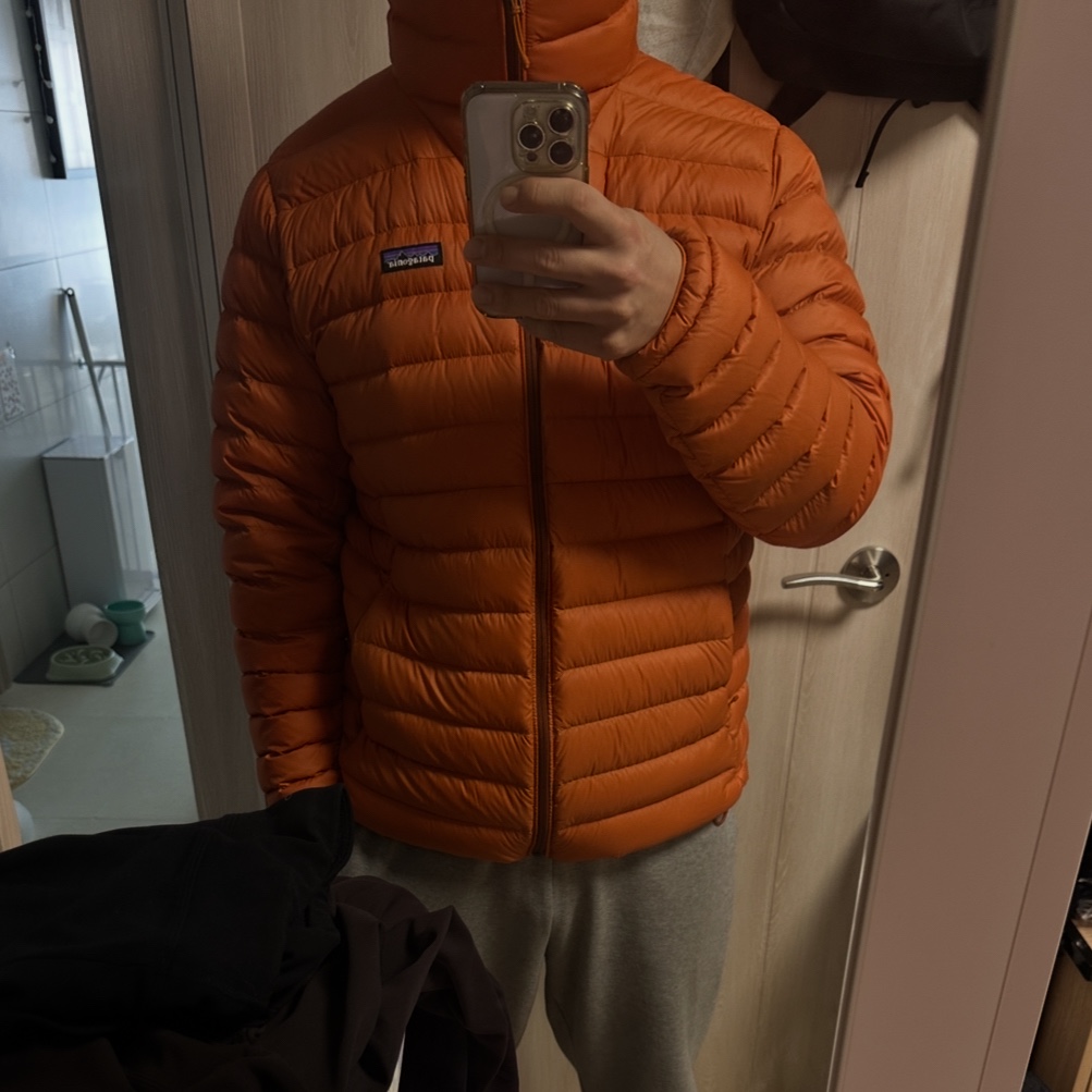 Patagonia Down Sweater Hoody Redtail Rust 착용 스타일