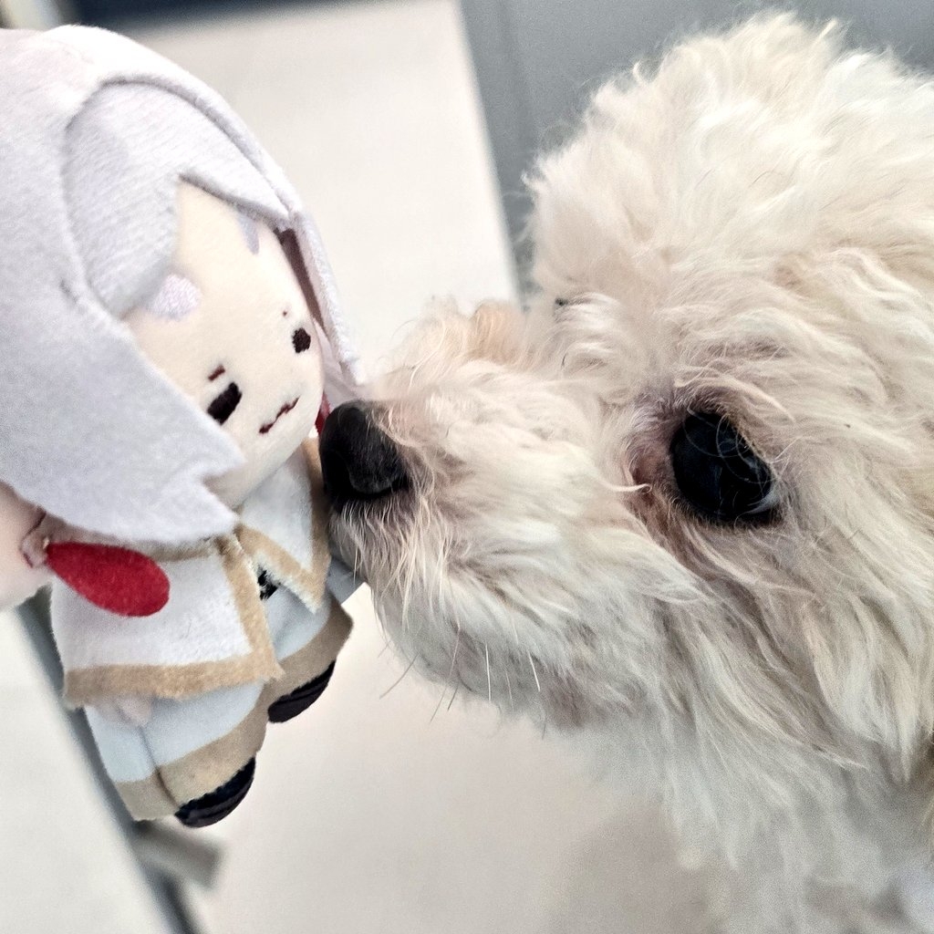 Pop Mart Frieren: Beyond Journey's End Dolls Keyring Frieren 착용 스타일