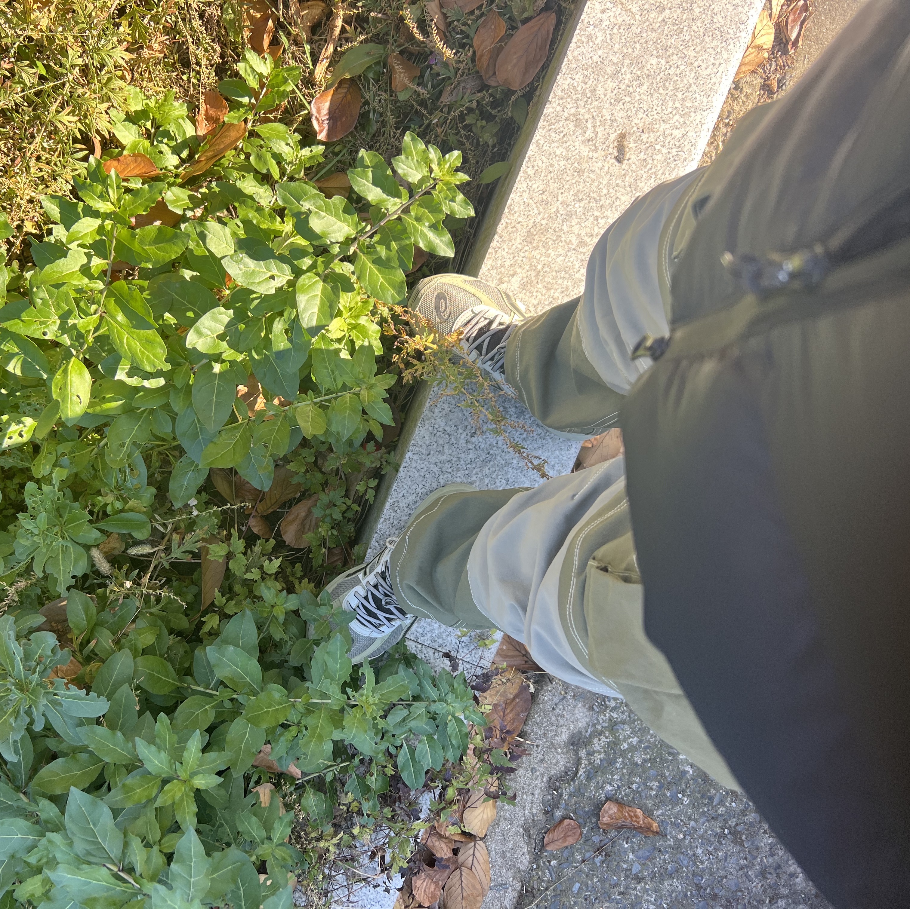 Asics Jog 100 S Sheet Rock - 2E Wide, Nike ACG Smith Summit Cargo Pants Medium Olive - Asia 착용 스타일