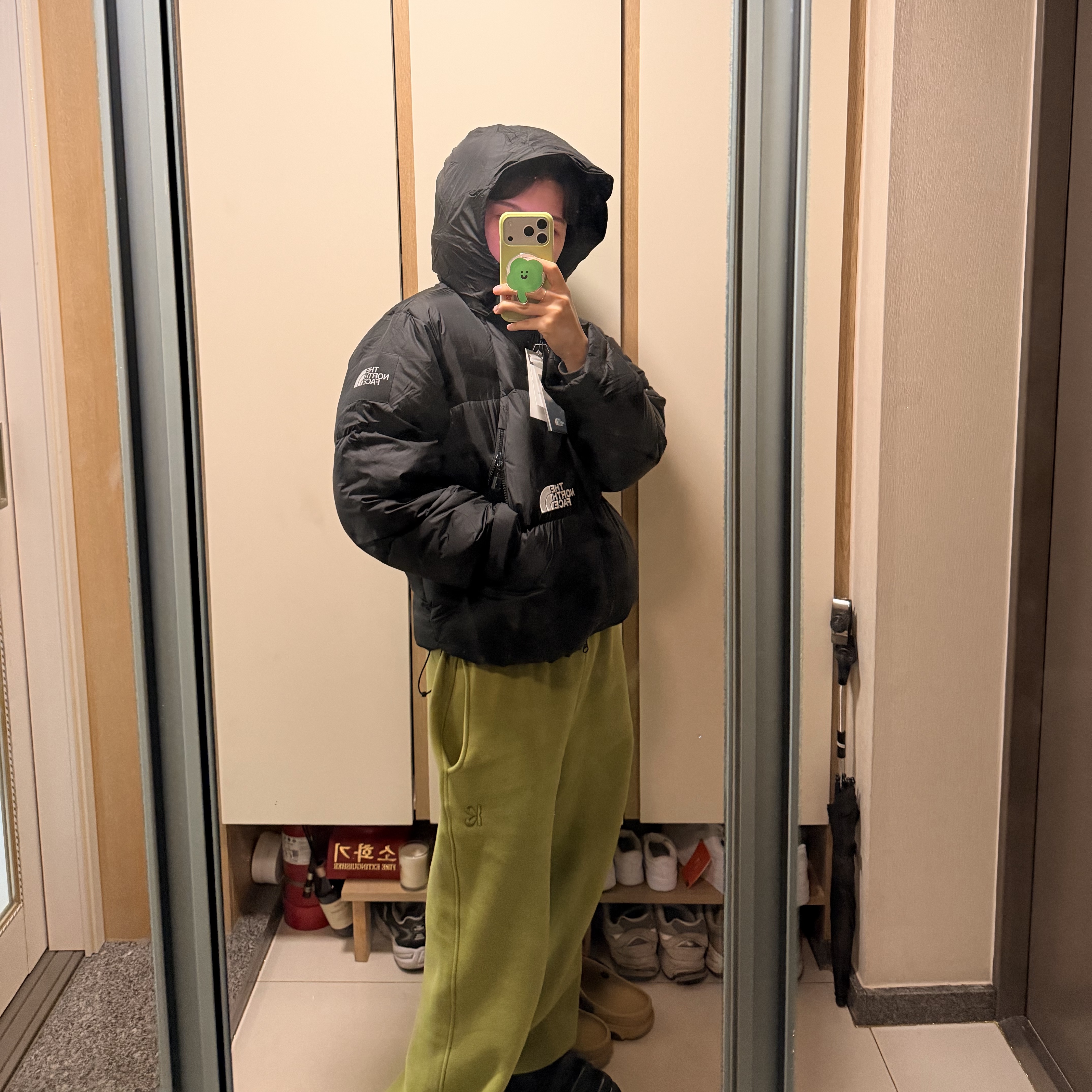 The North Face White Label Project Down Jacket RDS Black - 25FW 착용 스타일