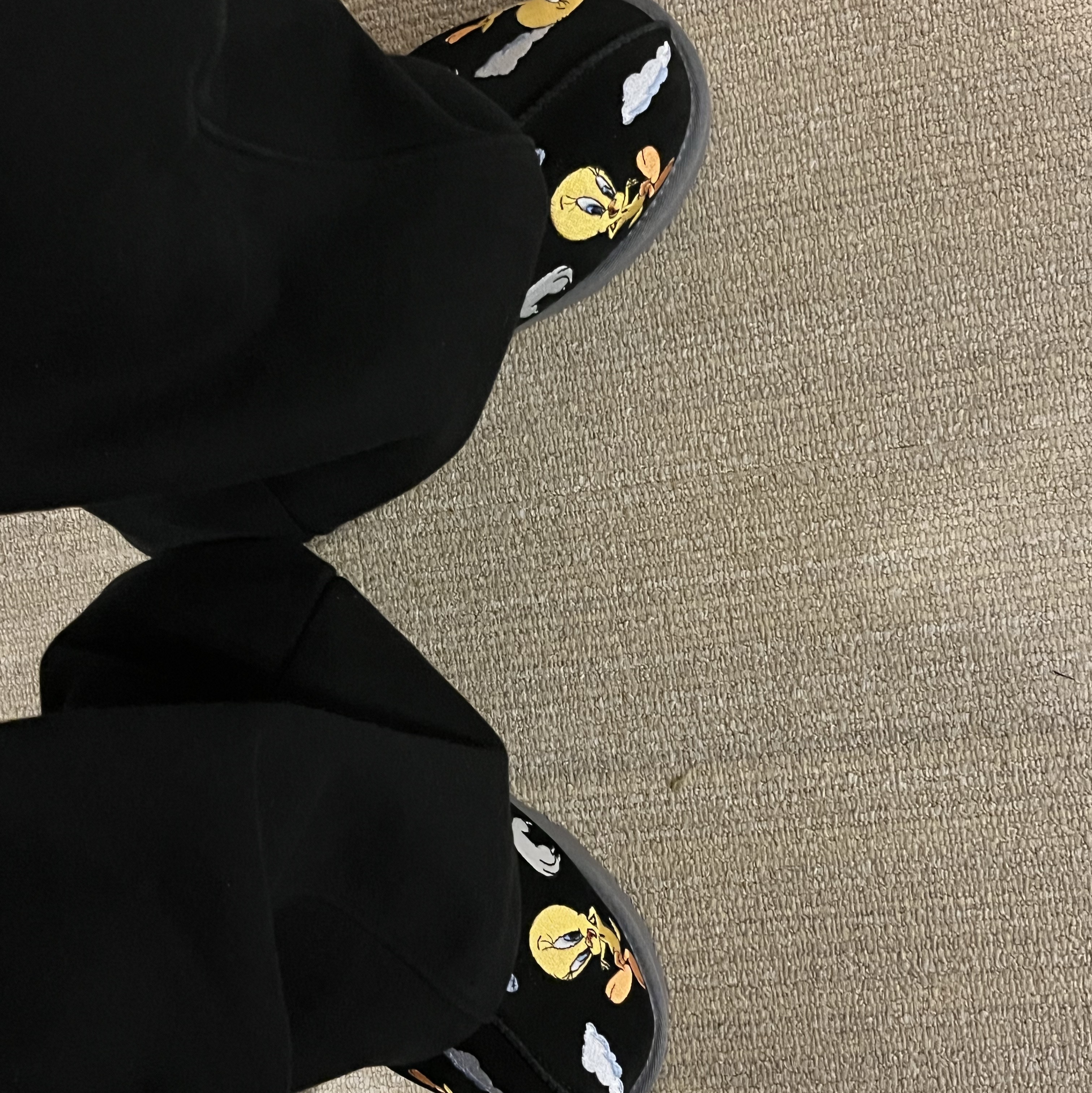 UGG x Palace x Looney Tunes Tasman Slipper Black 착용 스타일