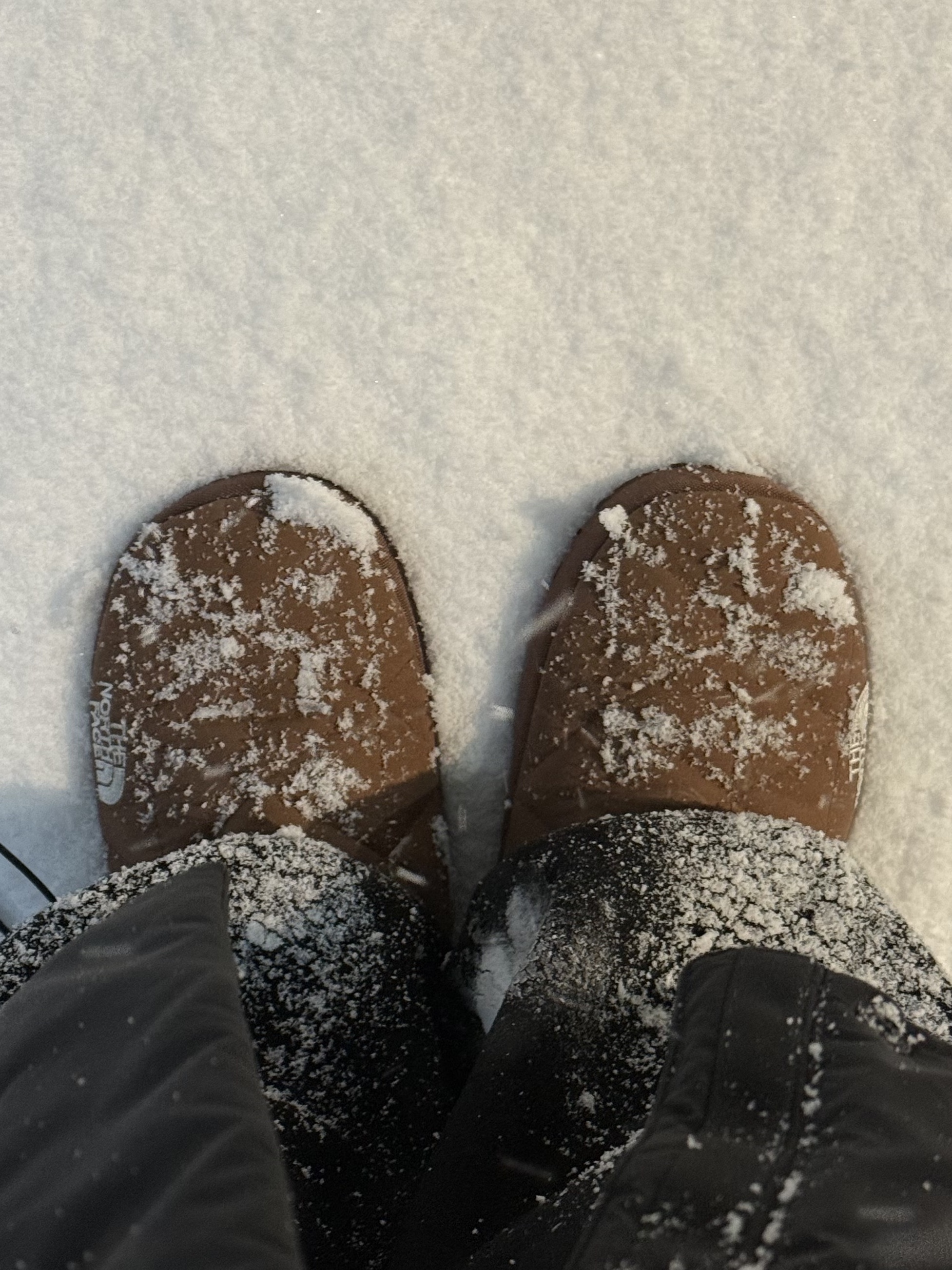 The North Face Nuptse Ex Mule Brown 착용 스타일