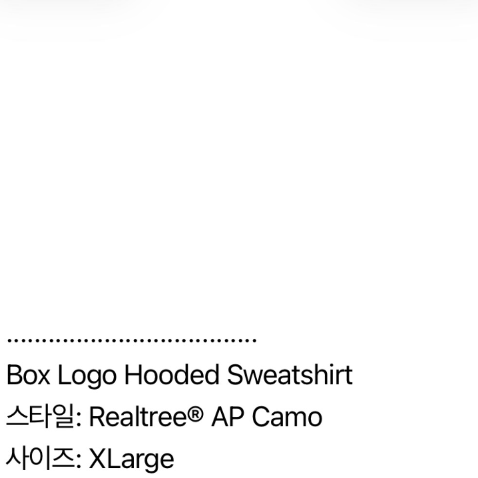 Supreme Box Logo Hooded Sweatshirt Realtree AP Camo - 25FW 착용 스타일