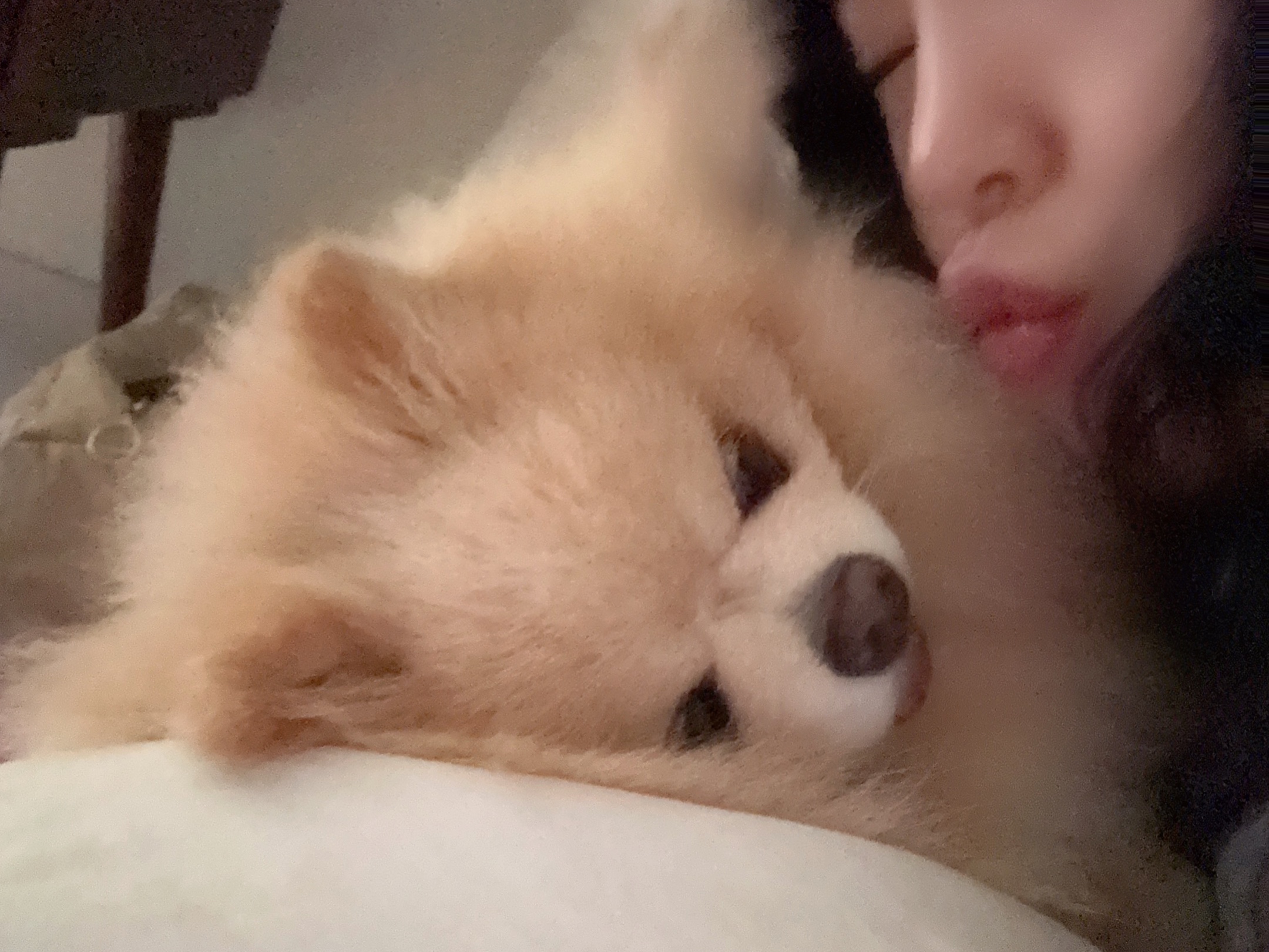 핼둥님의 스타일 - 8