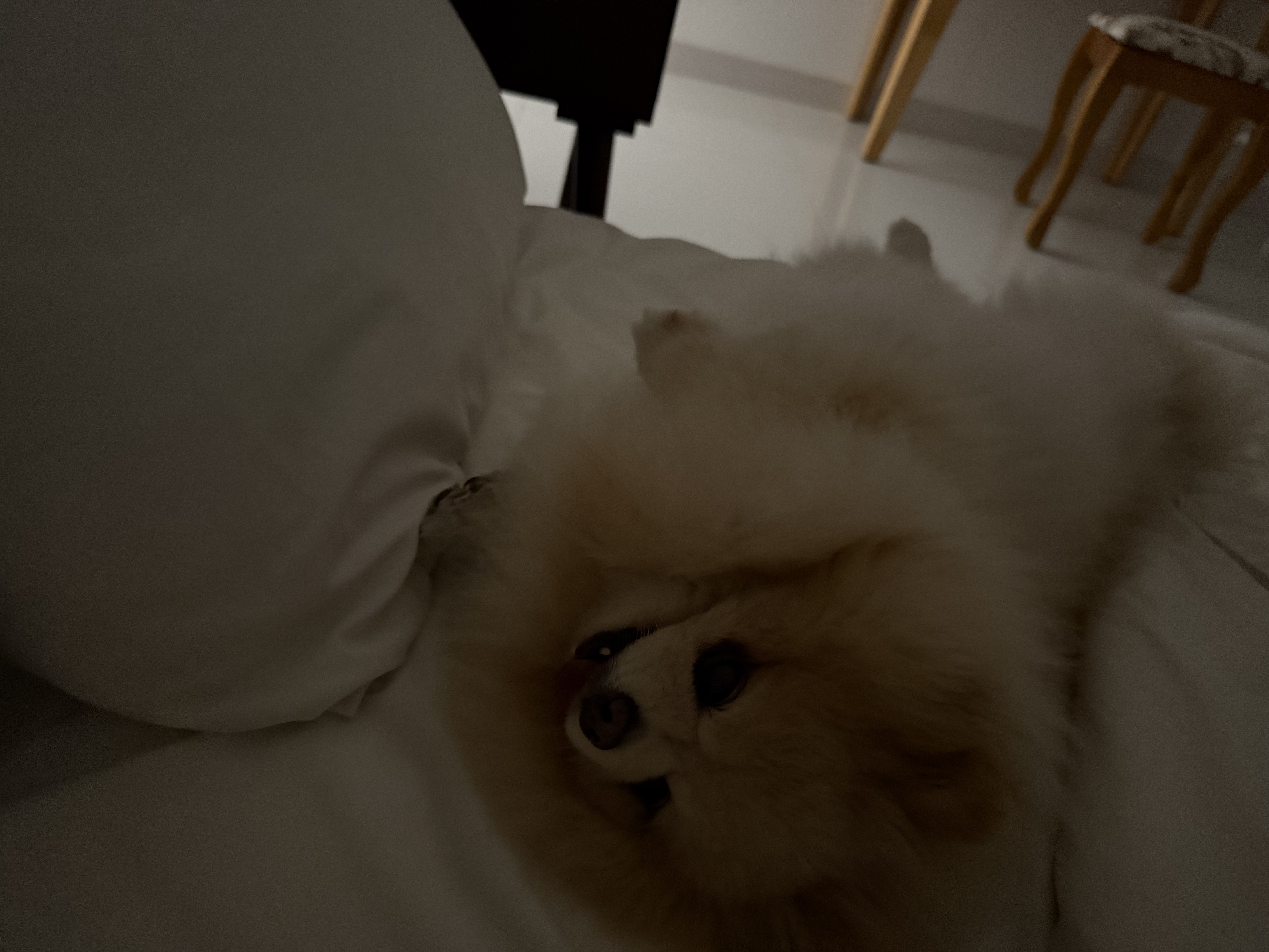 핼둥님의 스타일 - 7