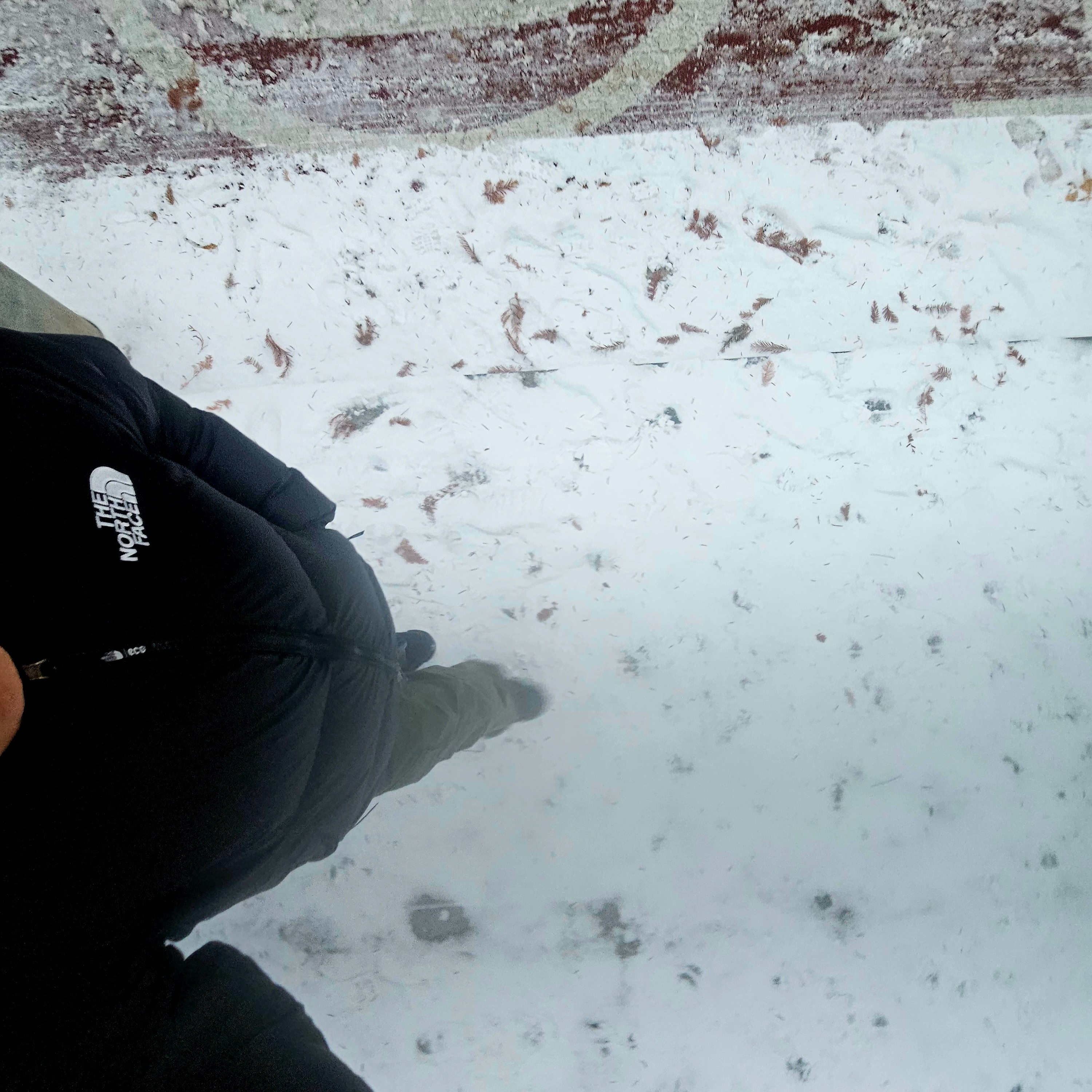 The North Face 1996 Eco Nuptse Jacket Black 착용 스타일