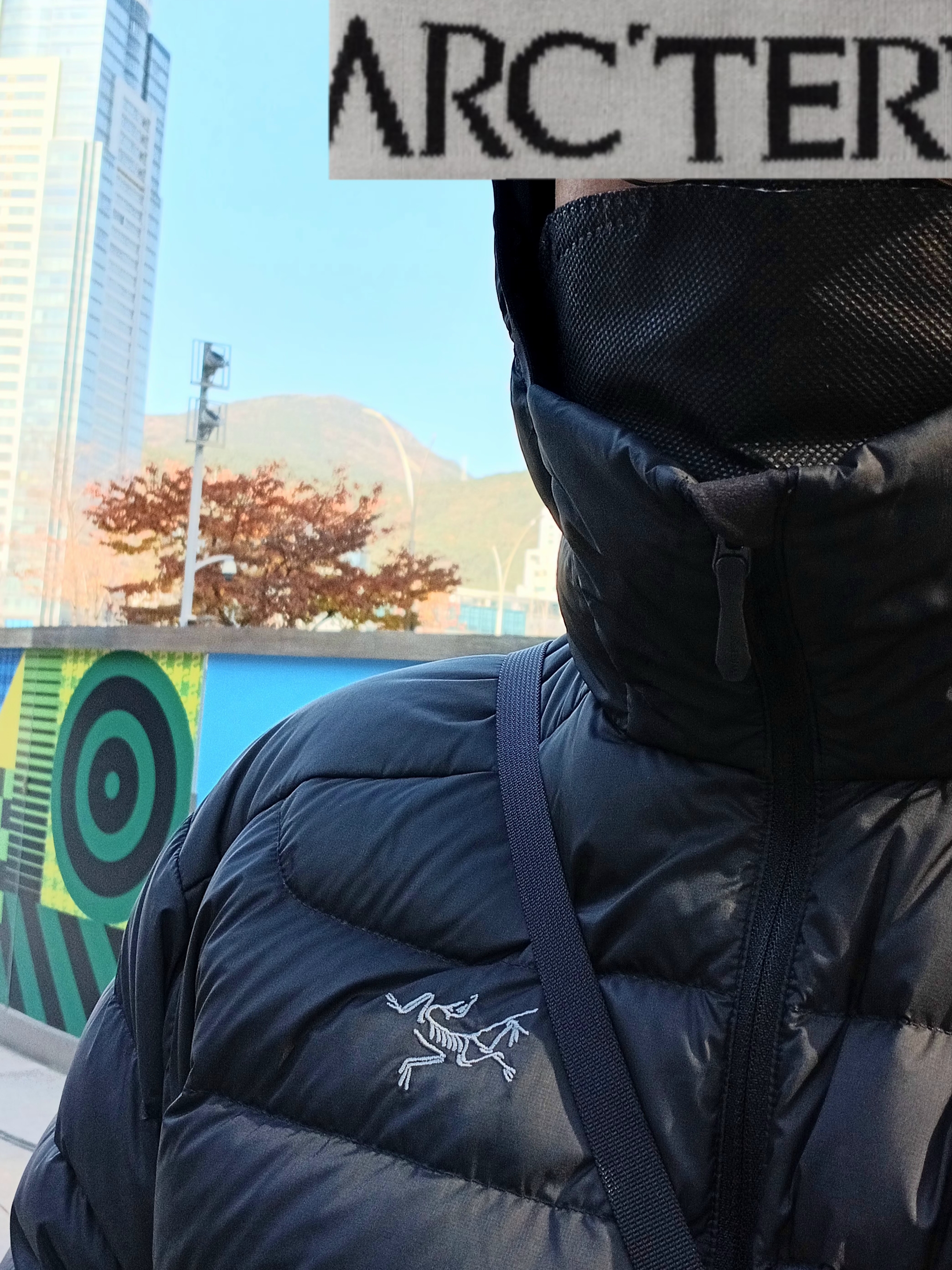 Arc'teryx Bird Word Cap 24K Black, Arc'teryx Cerium Hoody Black 착용 스타일 - 3