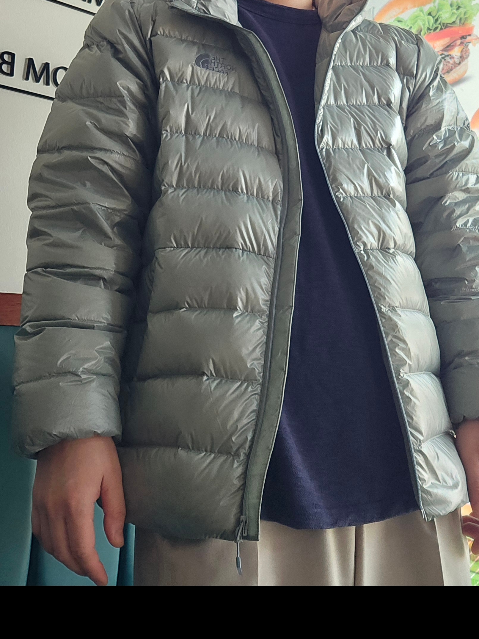 The North Face Matier EX RDS Down Hoodie Light Gray - 25FW 착용 스타일 - 2