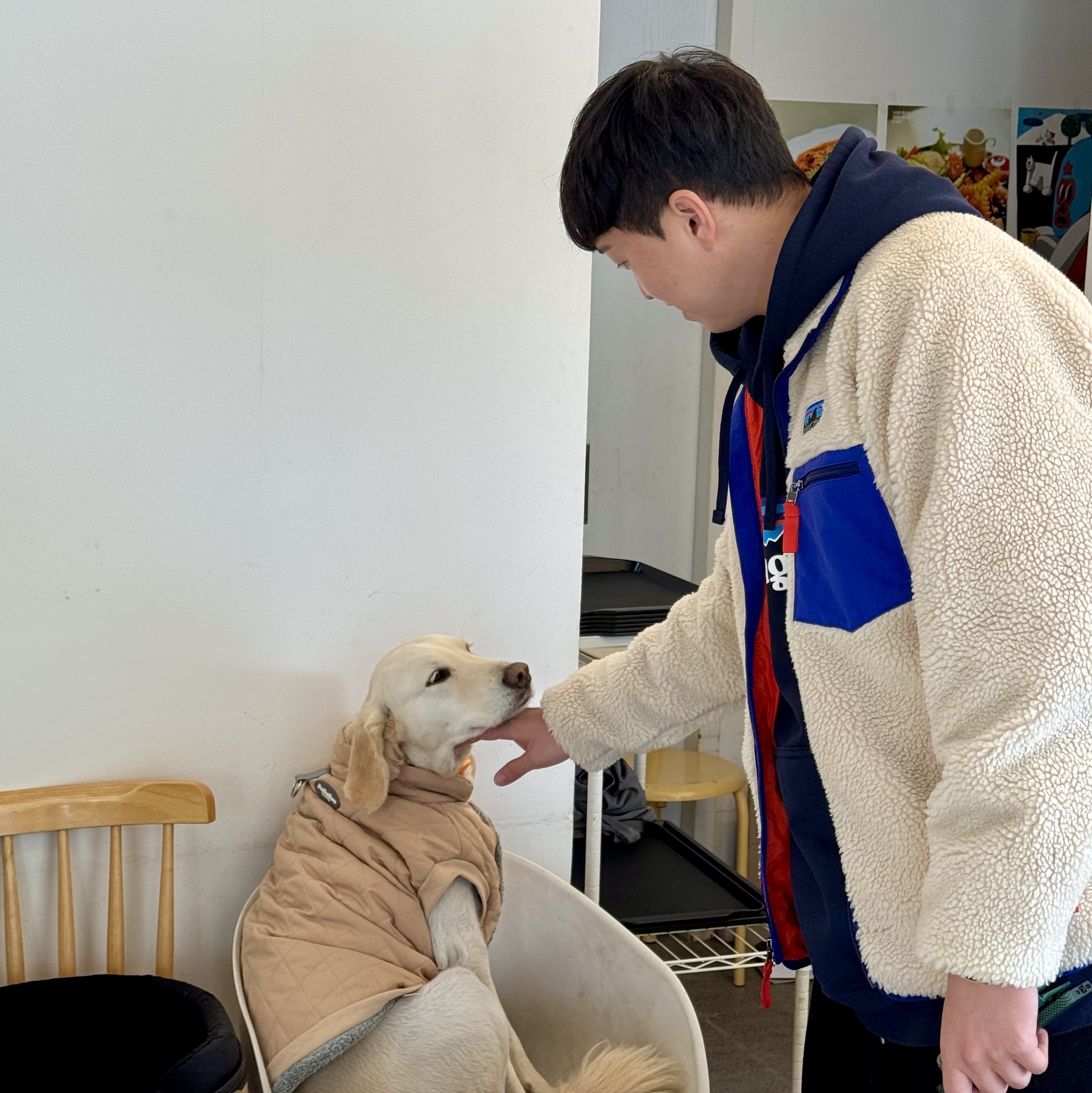 Patagonia Classic Retro-X Fleece Jacket Dark Natural, Patagonia P-6 Logo Uprisal Hoody New Navy 착용 스타일