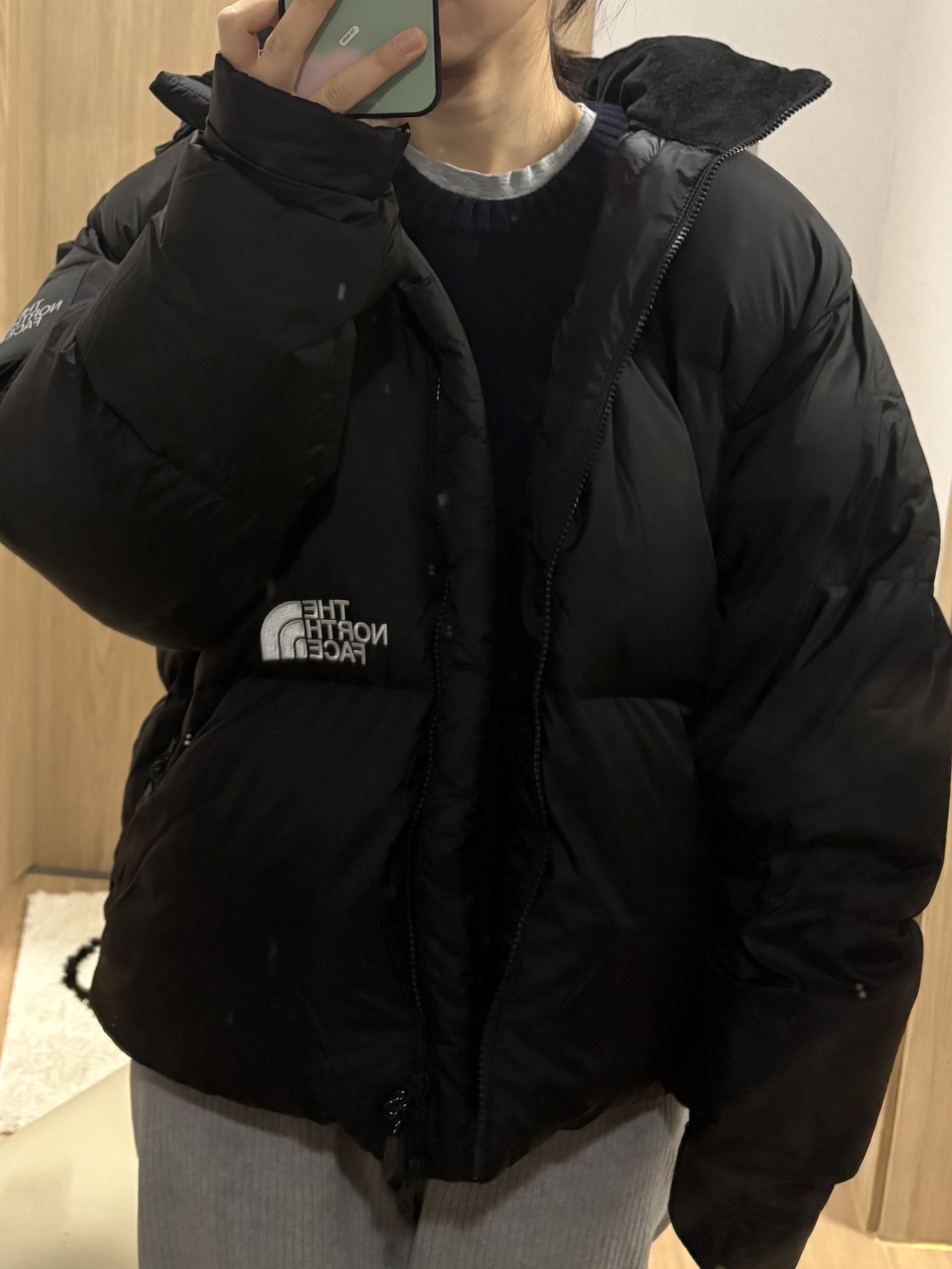 The North Face White Label Project Down Jacket RDS Black - 25FW 착용 스타일