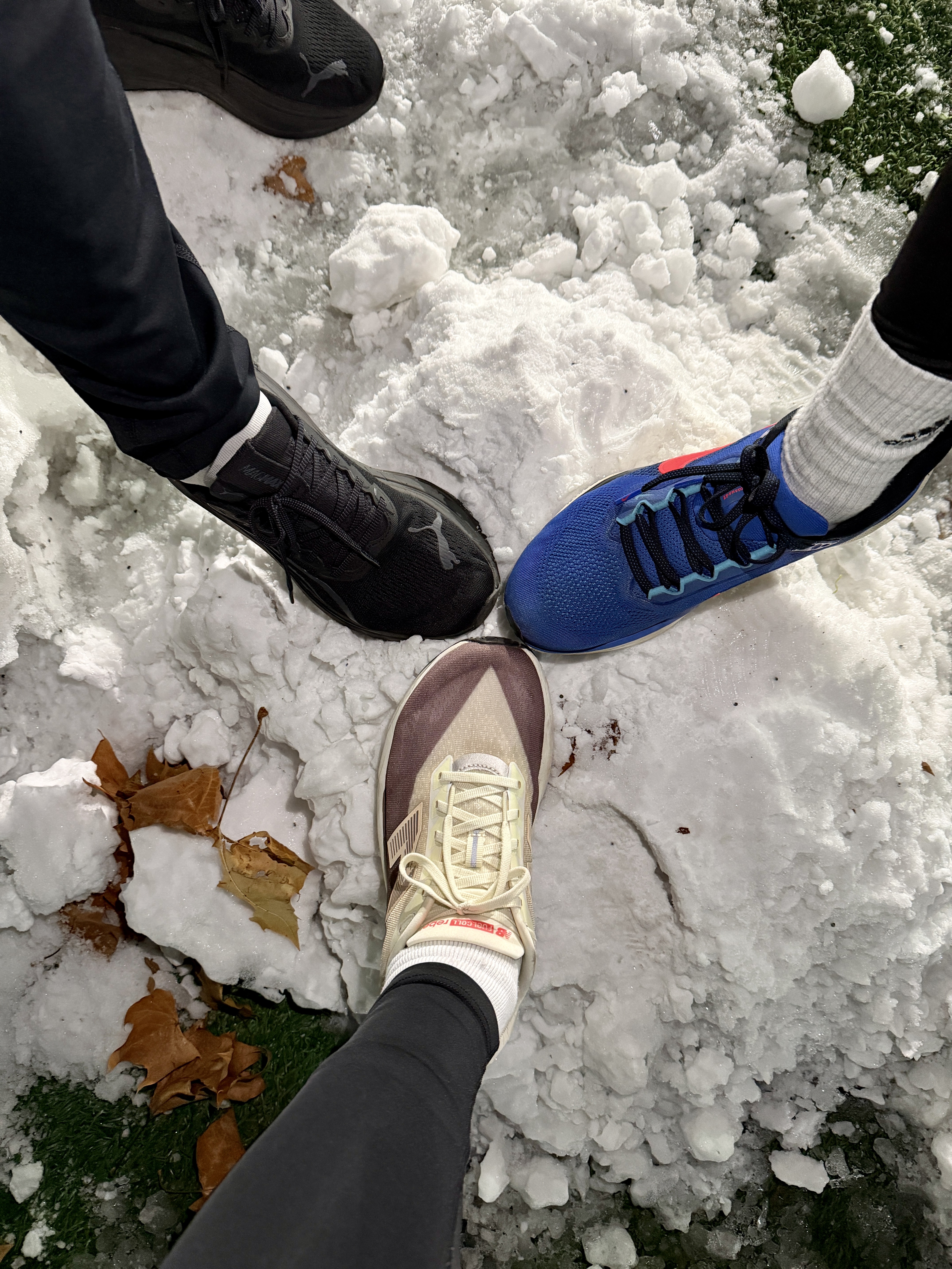 New Balance FuelCell Rebel v5 Angora Earth Shadow Sea Salt - D Standard 착용 스타일