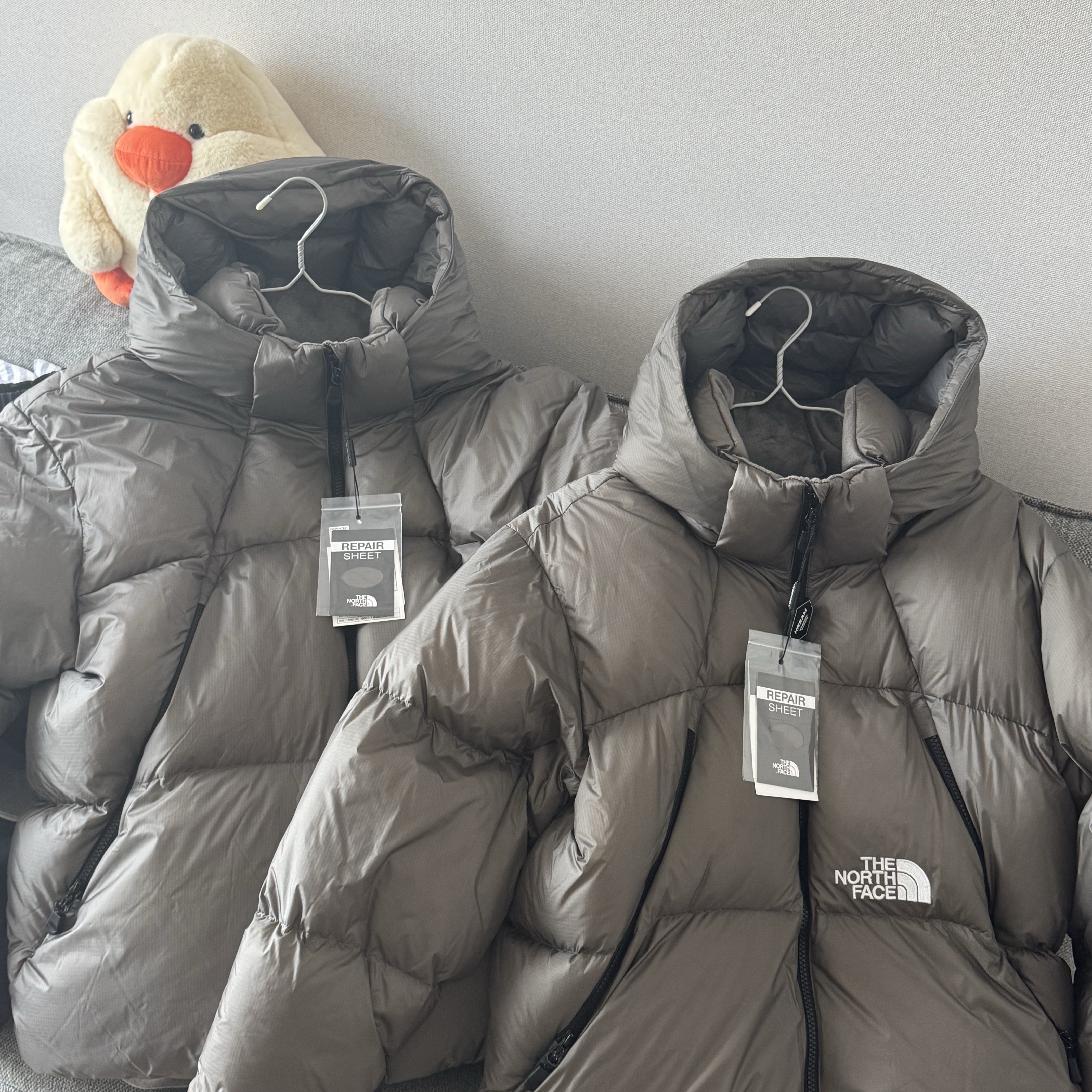 The North Face Project Down Jacket RDS Browne - 25FW 착용 스타일
