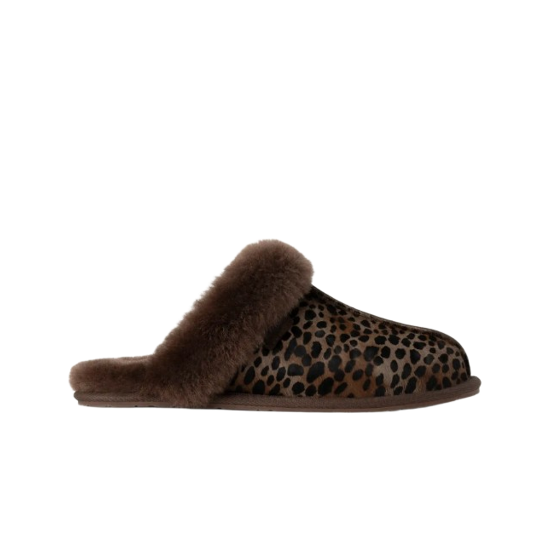 (W) 어그 스커페트 카스피 번트 시더((W) UGG Scuffette Caspian Burnt Cedar) - 1