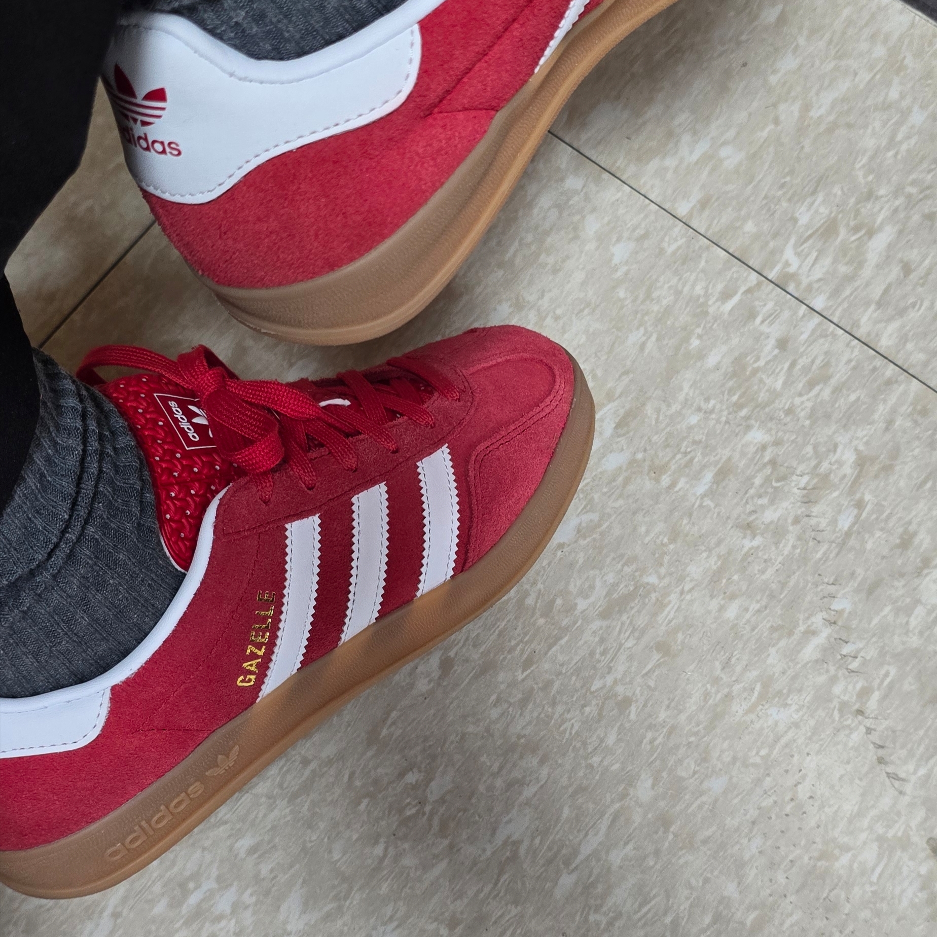 Adidas Gazelle Indoor Better Scarlet Cloud White 착용 스타일