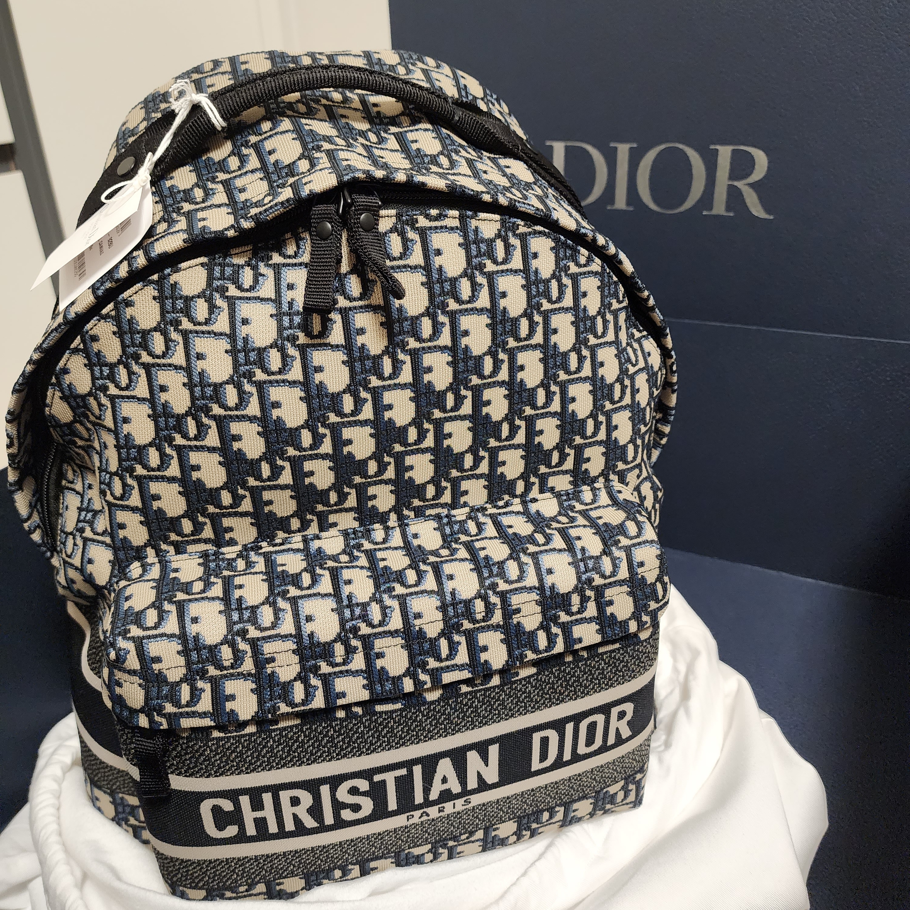 Dior Travel Backpack Blue Dior Oblique Jacquard 착용 스타일 - 1
