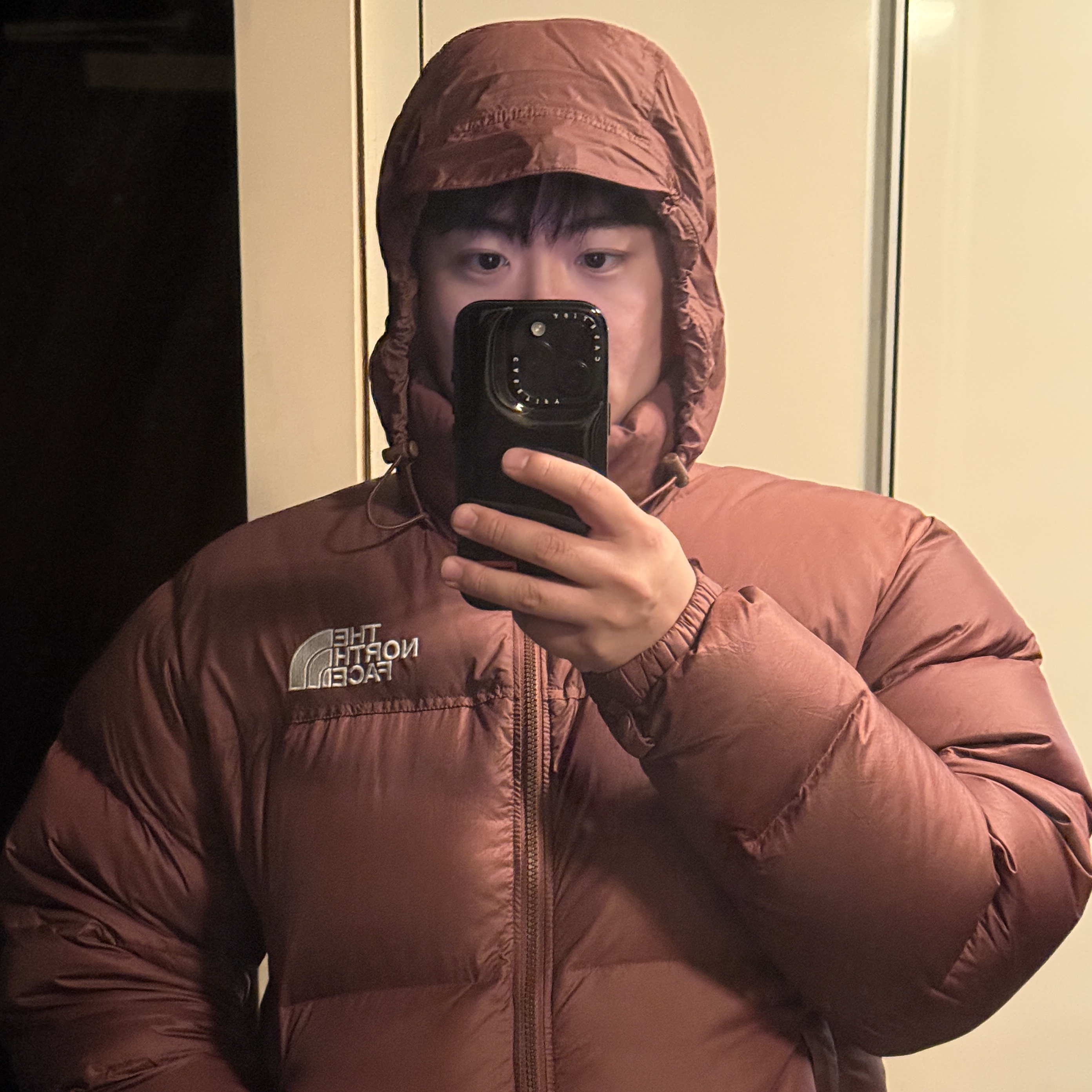 The North Face 1996 Eco Nuptse Jacket Brown 착용 스타일