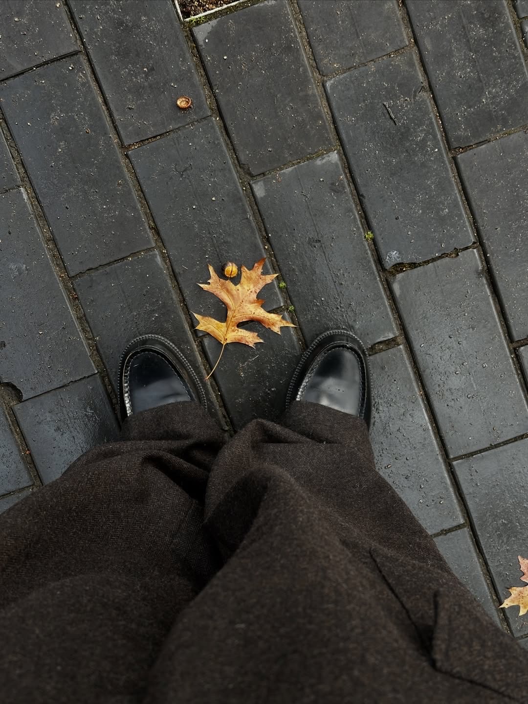 HARUTA X Insane Garage IG906 Black Penny Loafer 착용 스타일 - 4