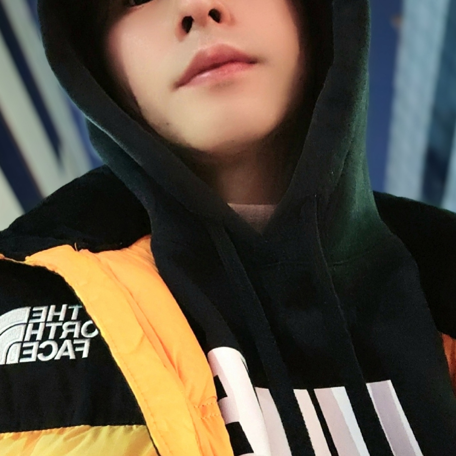 The North Face White Label Novelty Nuptse Down Jacket P Yellow, The North Face White Label Novelty Nuptse Down Jacket Cream 착용 스타일 - 3
