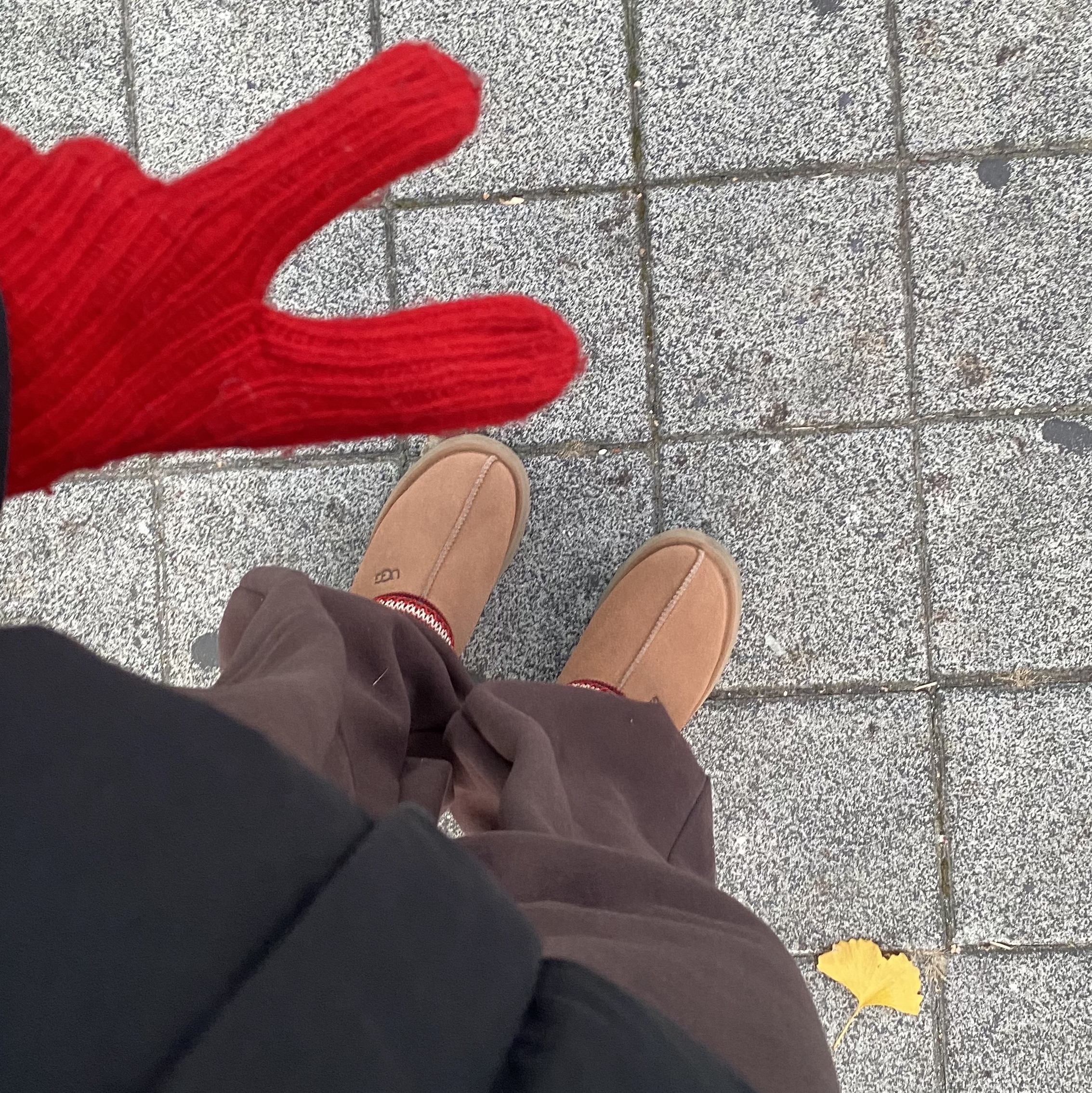 (W) UGG Tazz II Chestnut 착용 스타일