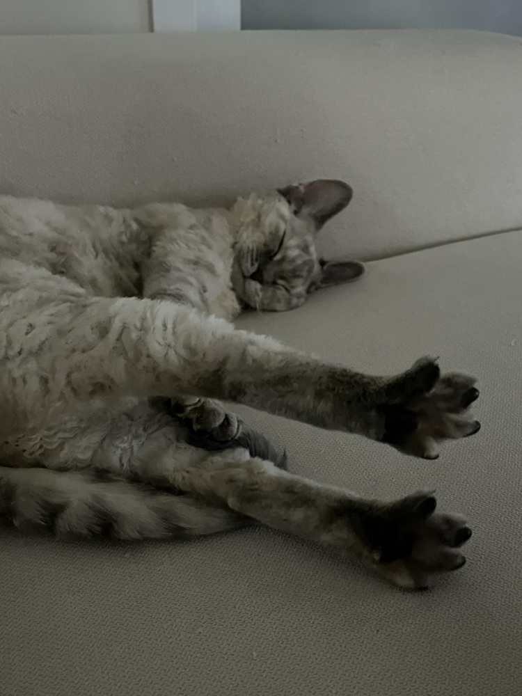 KREAM 프로필 이미지