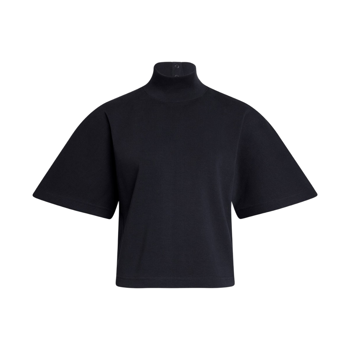 (W) 알라이아 립드 코튼 하이넥 티셔츠 블랙((W) Alaia Ribbed Cotton High Neck T-Shirt Black)