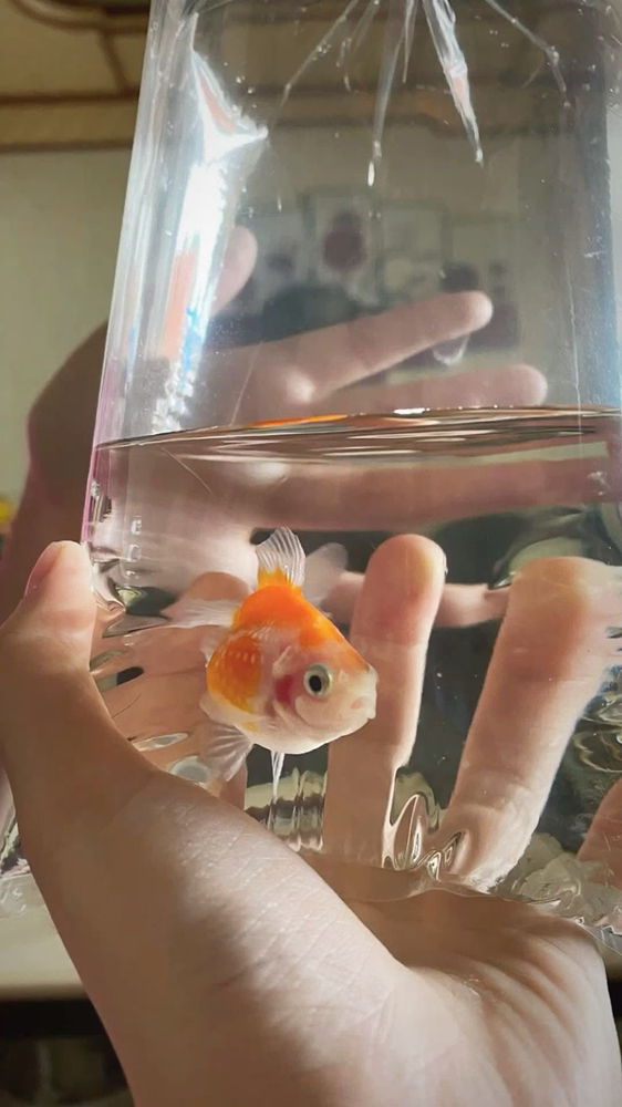 관심 유저 프로필 이미지