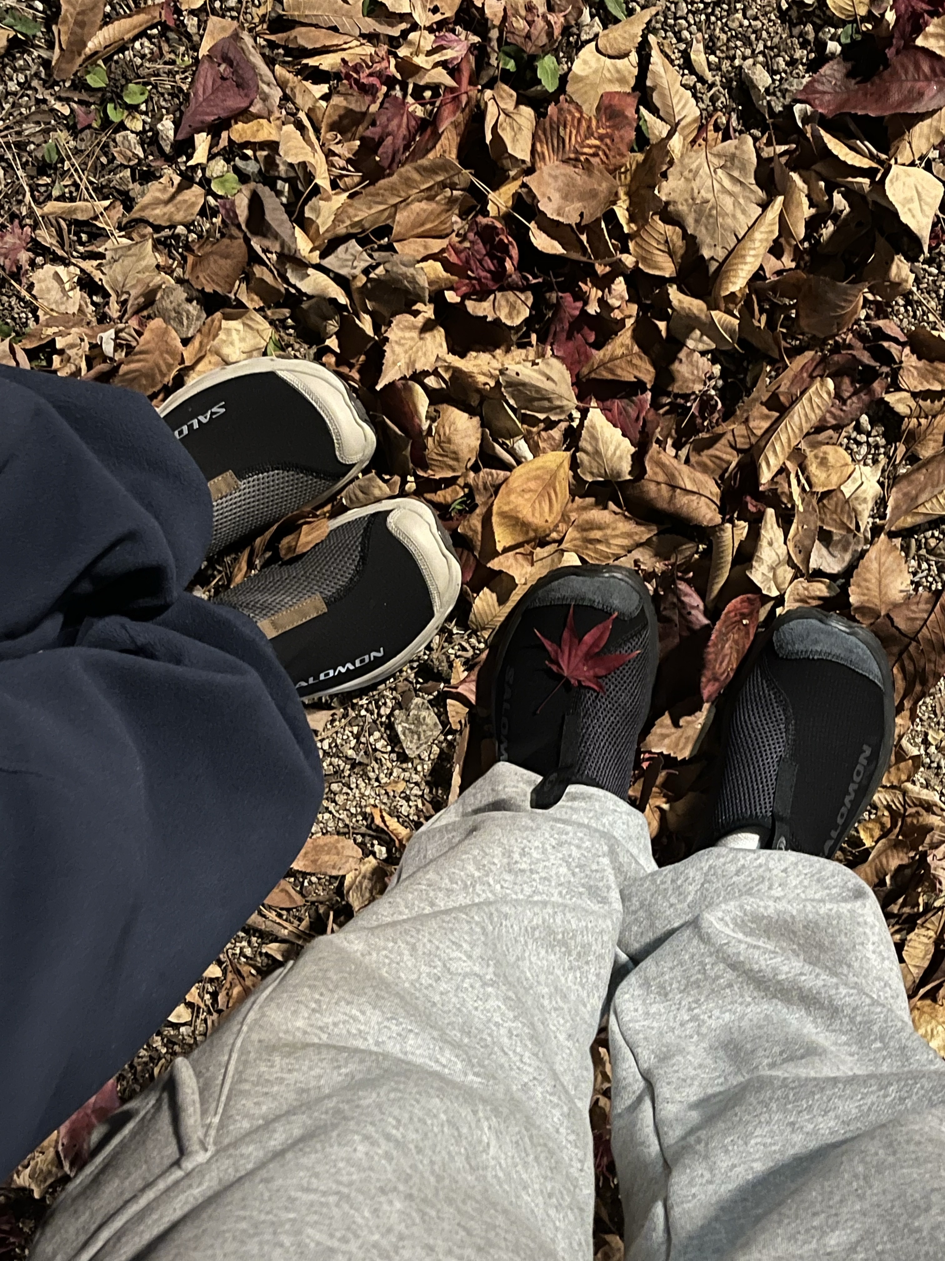 Salomon RX Slide 3.0 Black Plum Kitten, Salomon RX Slide 3.0 Black 착용 스타일