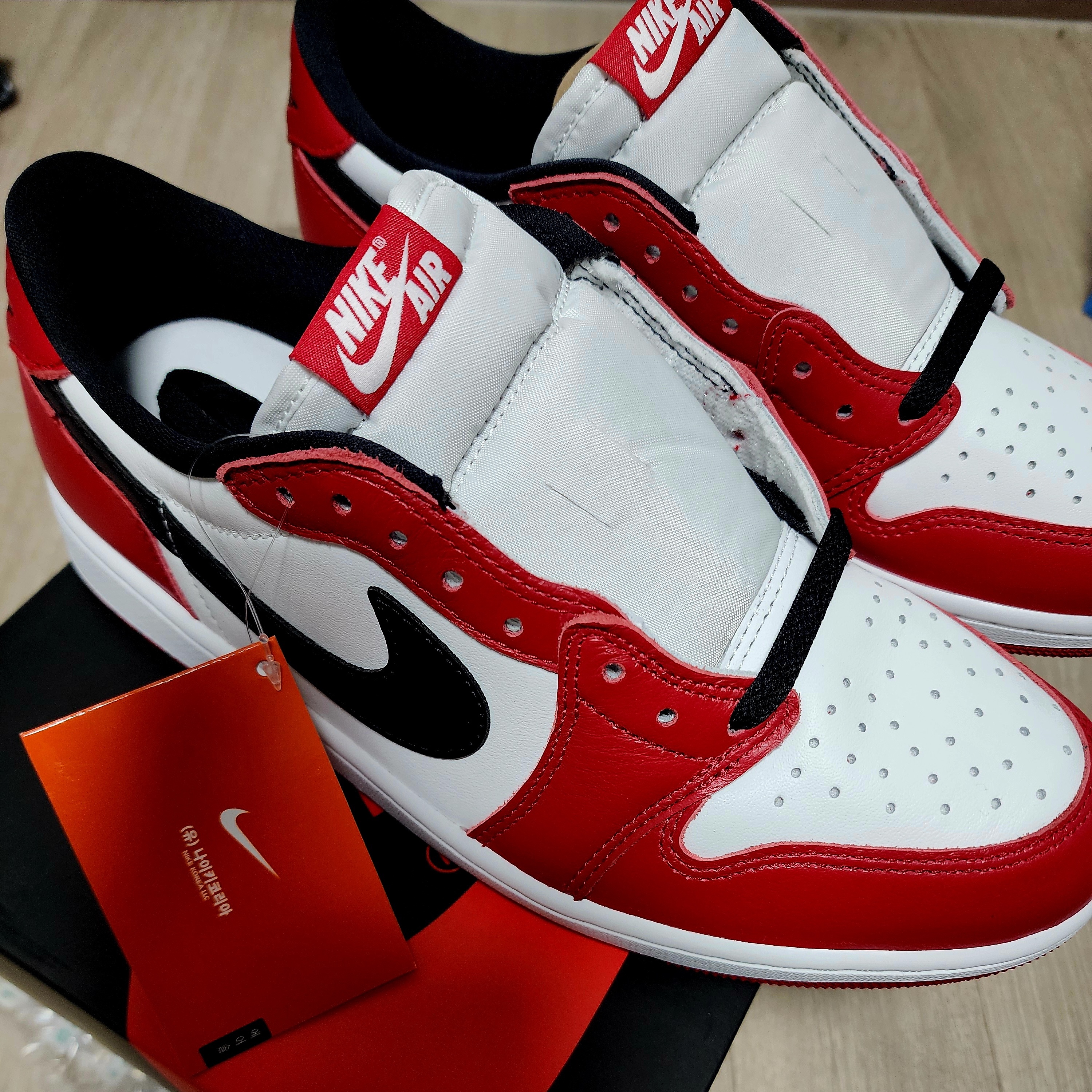 Nike SB Dunk Low Pro Chicago 착용 스타일