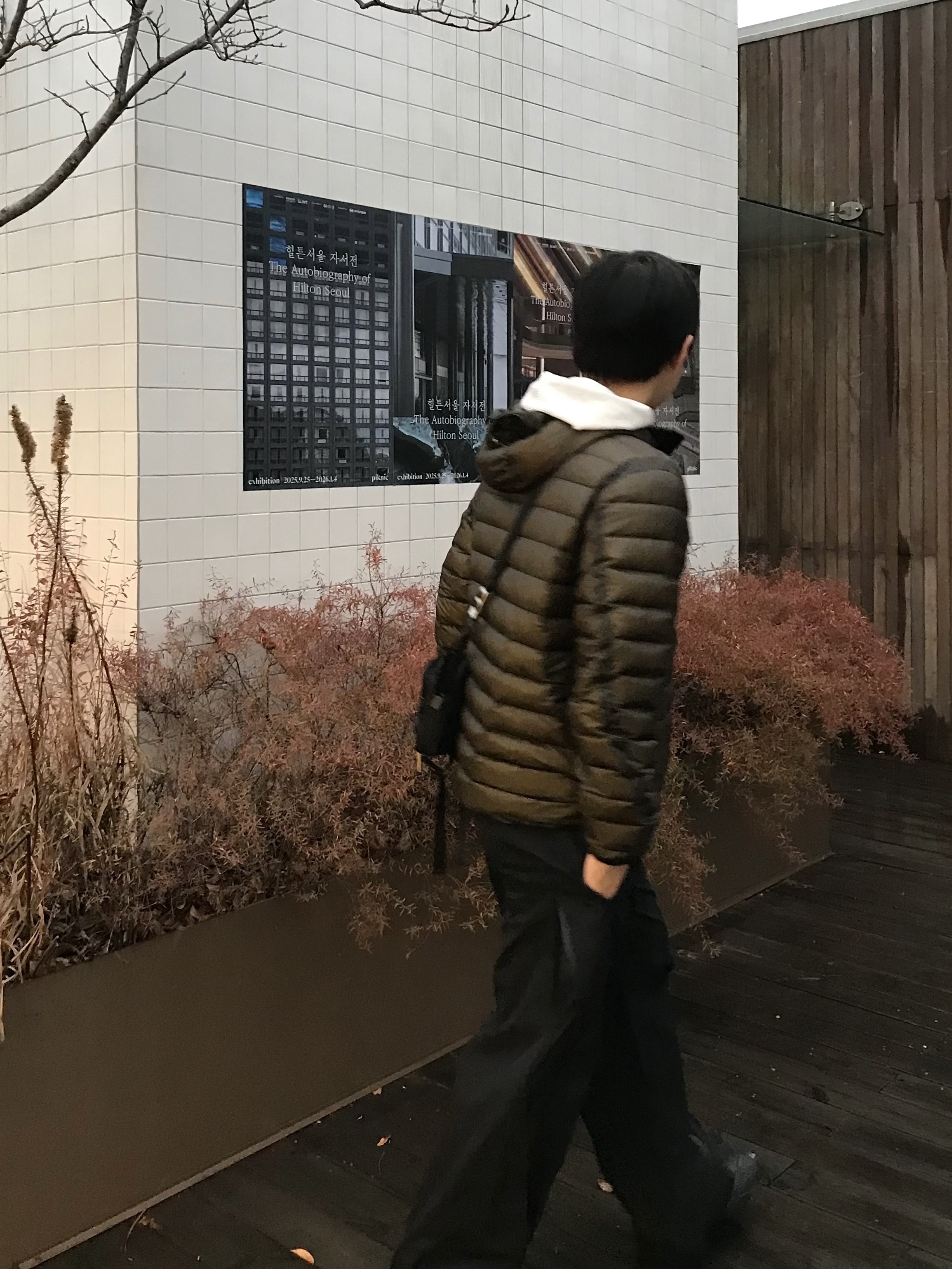 C.P. Company Medium Down Jacket Ivy Green - 25FW, Balenciaga Tyrex Sneakers Black 착용 스타일 - 3