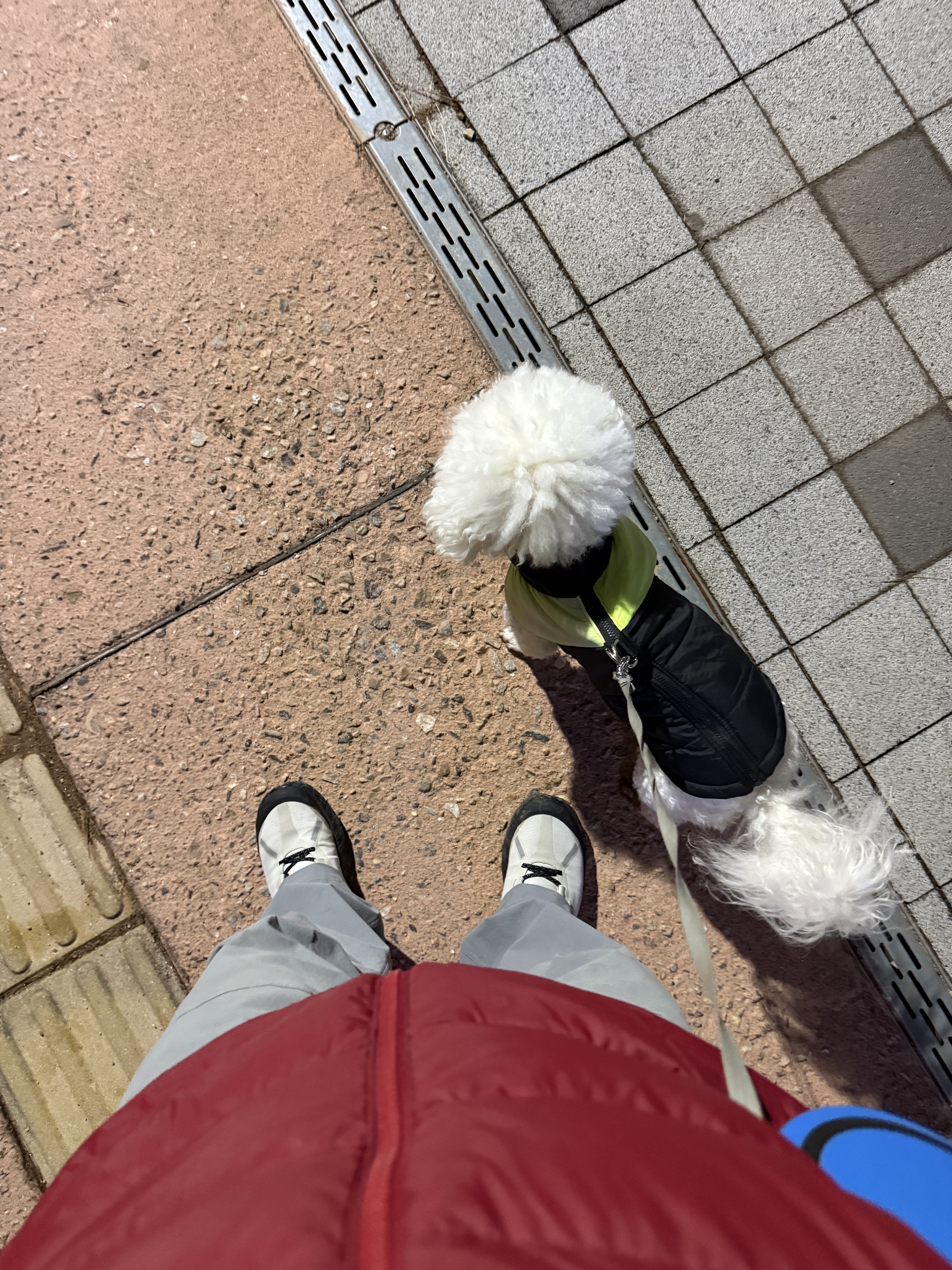 Norda 001/A Cinder, Arc'teryx Thorium Hoody Bordeaux 착용 스타일