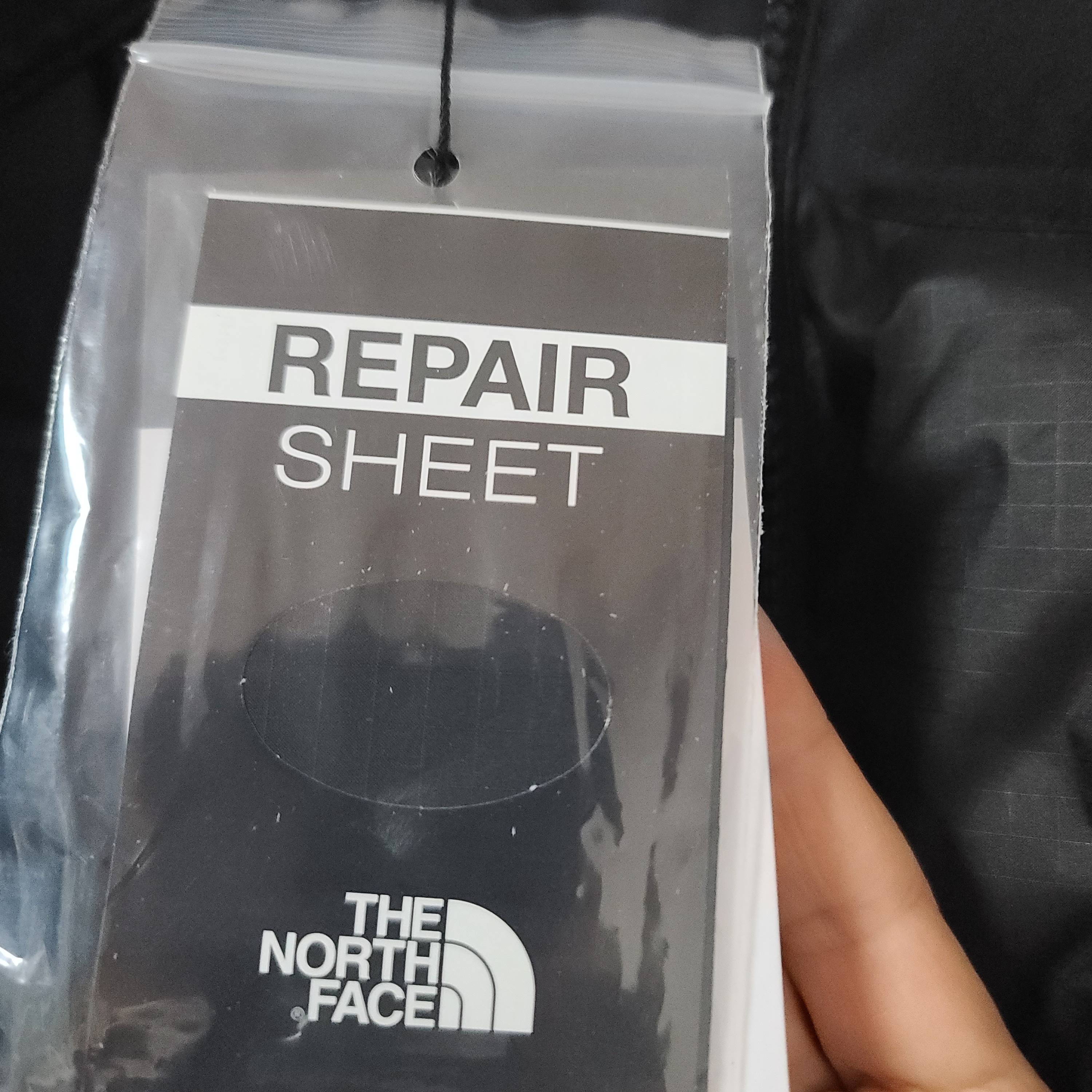 (W) The North Face White Label Novelty Nuptse Down Jacket Real Black 착용 스타일 - 4