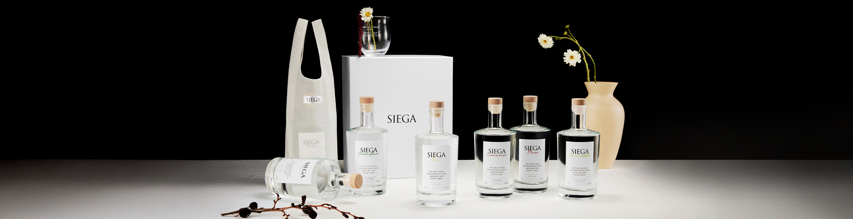 시에가(SIEGA)