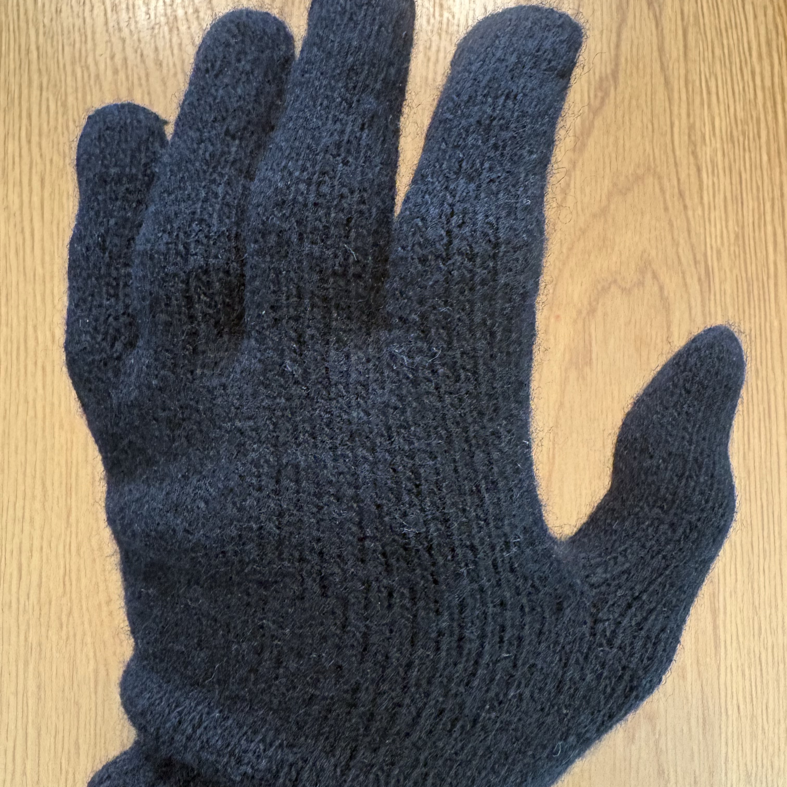 RECLOW Plain Long Glove Black 착용 스타일 - 1